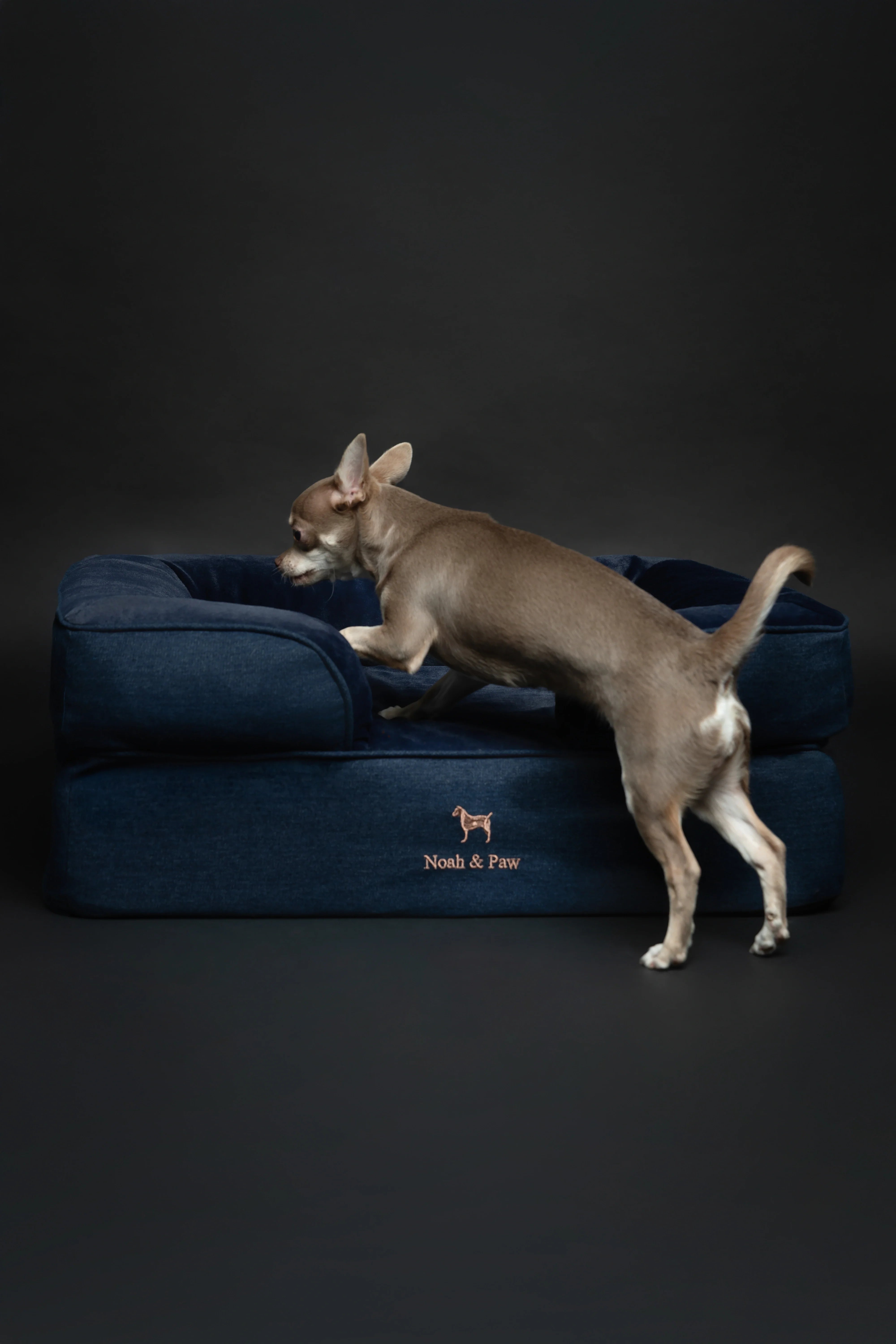Denim Orthopedic Pet Bed, Memory Foam, Infused with Cooling Gel