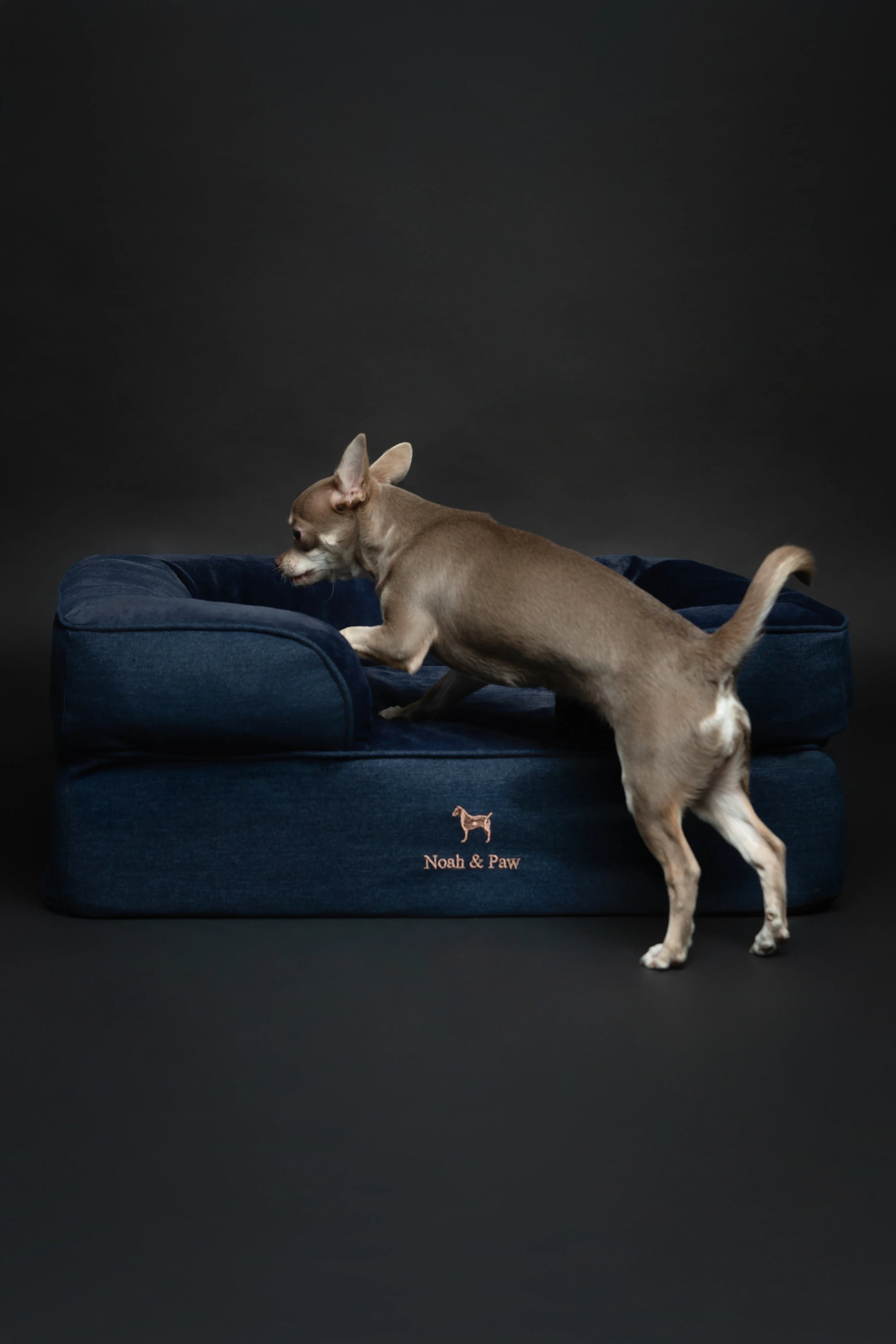 Denim Orthopedic Pet Bed, Memory Foam, Infused with Cooling Gel
