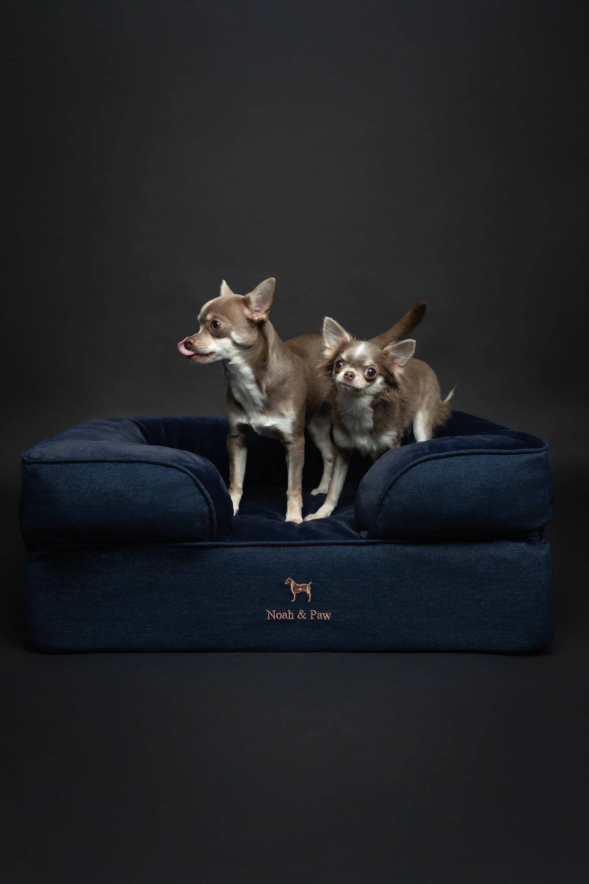 Denim Orthopedic Pet Bed, Memory Foam, Infused with Cooling Gel