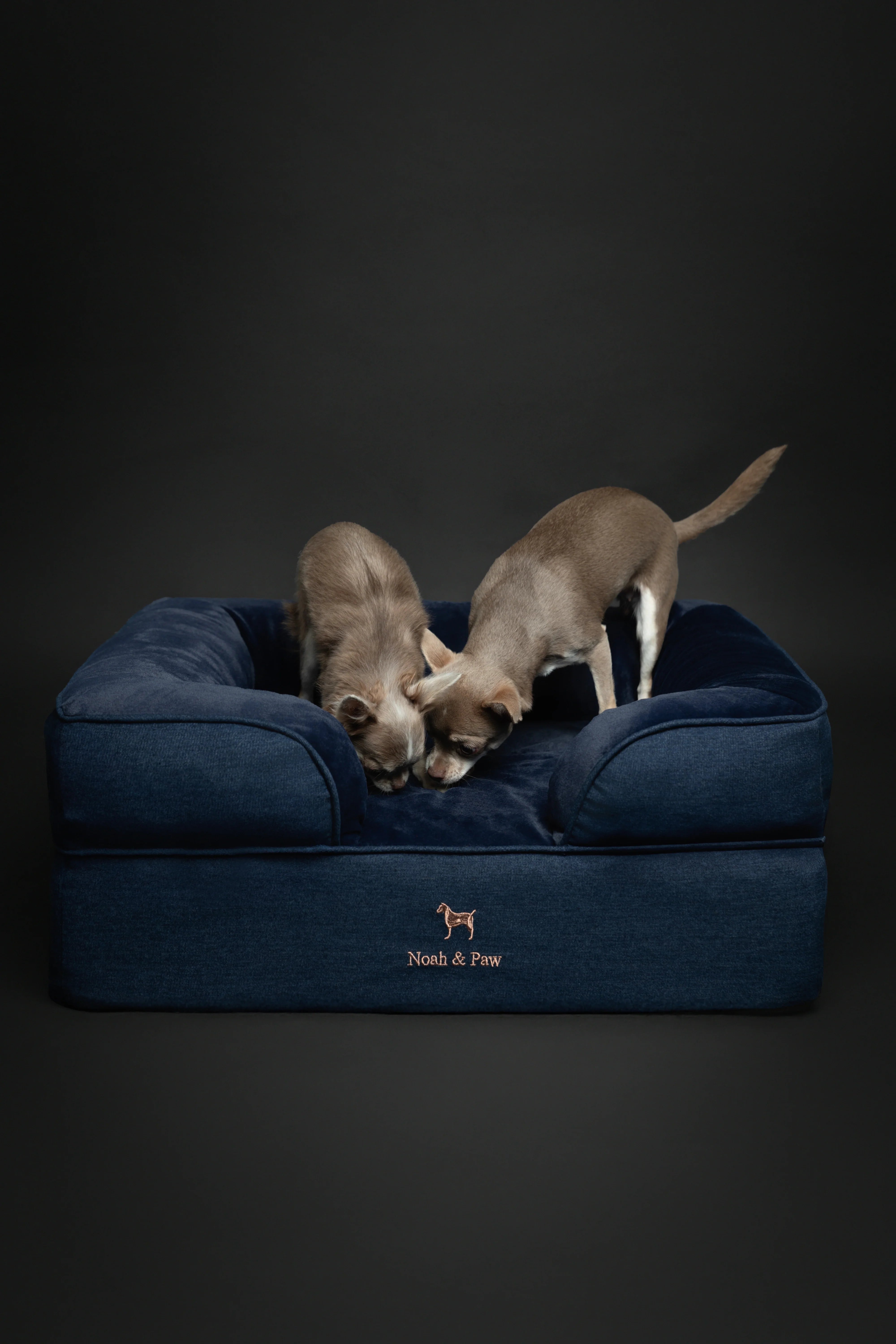 Denim Orthopedic Pet Bed, Memory Foam, Infused with Cooling Gel