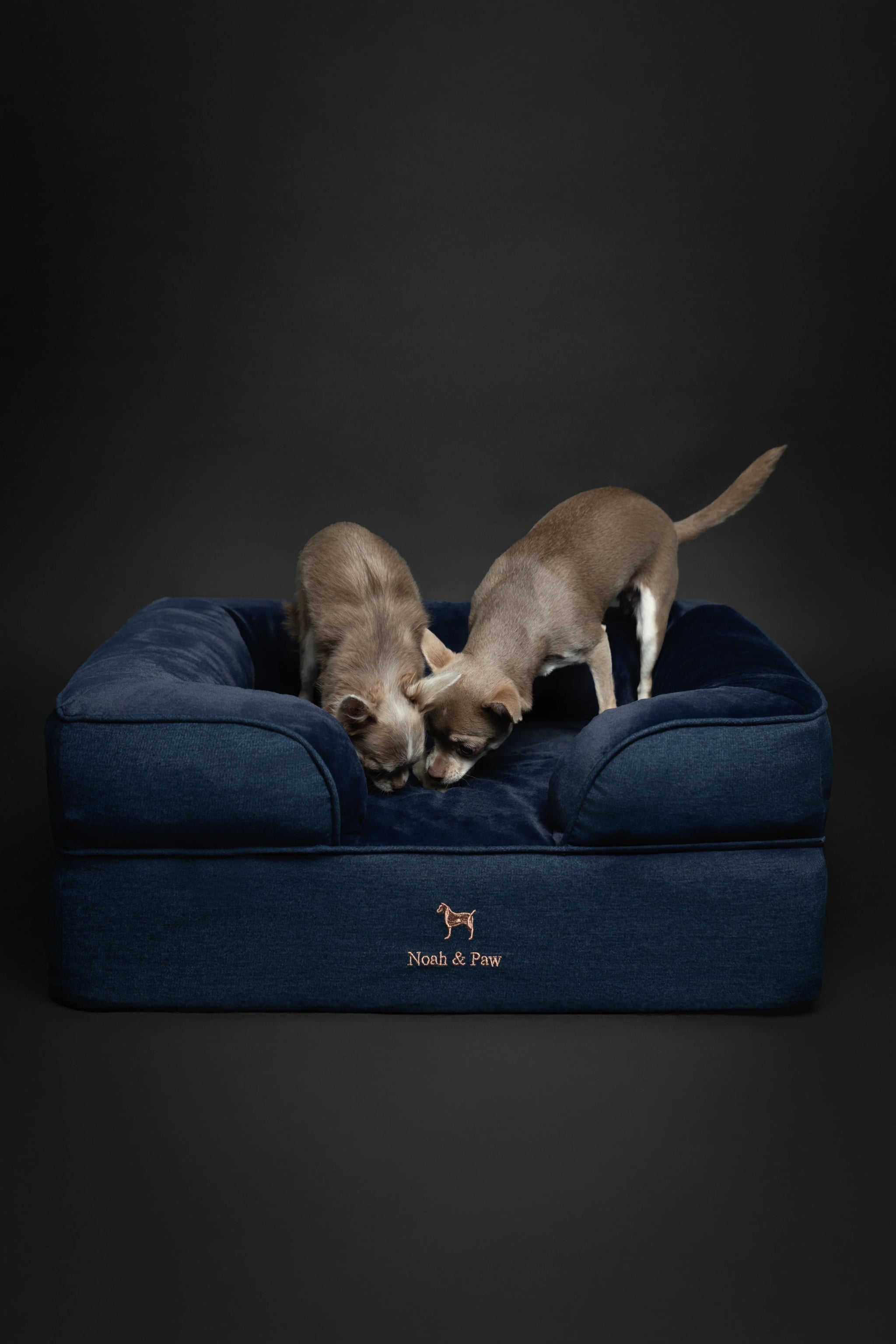 Denim Orthopedic Pet Bed, Memory Foam, Infused with Cooling Gel