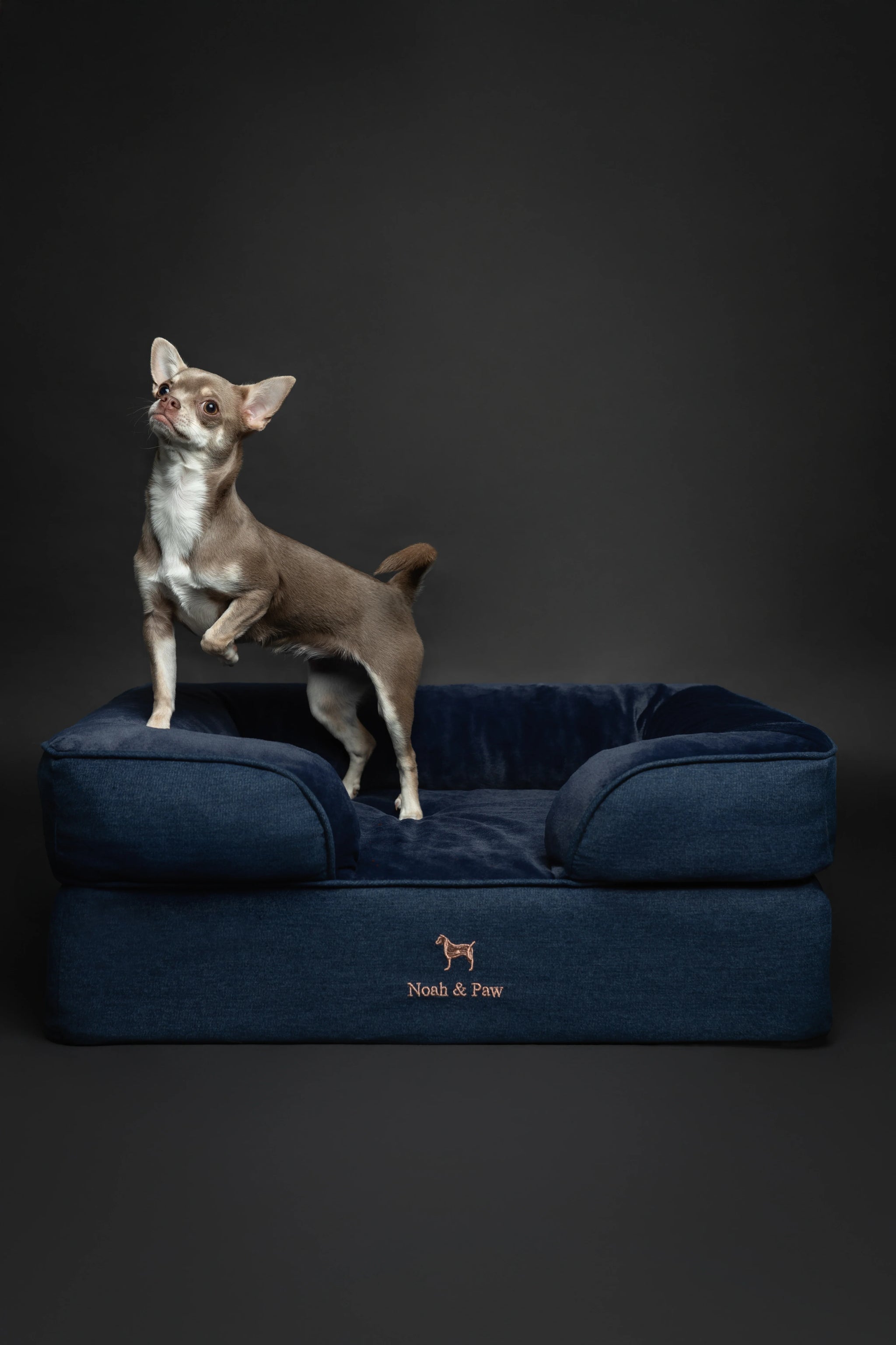 Denim Orthopedic Pet Bed, Memory Foam, Infused with Cooling Gel