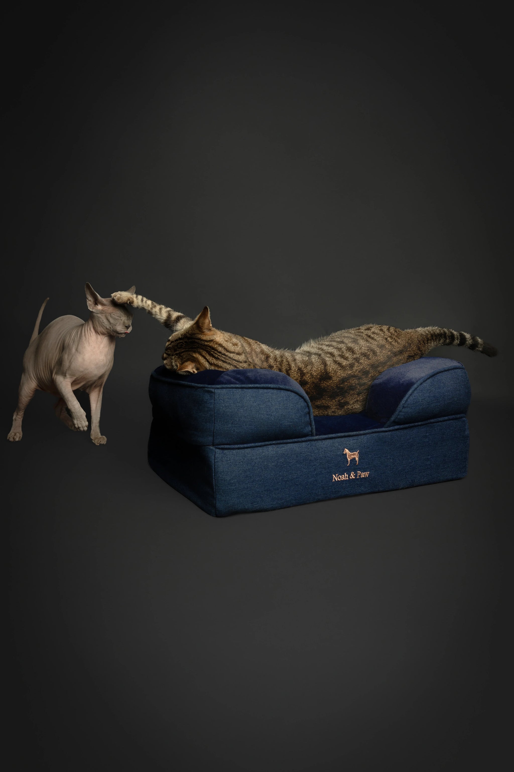Denim Orthopedic Pet Bed, Memory Foam, Infused with Cooling Gel