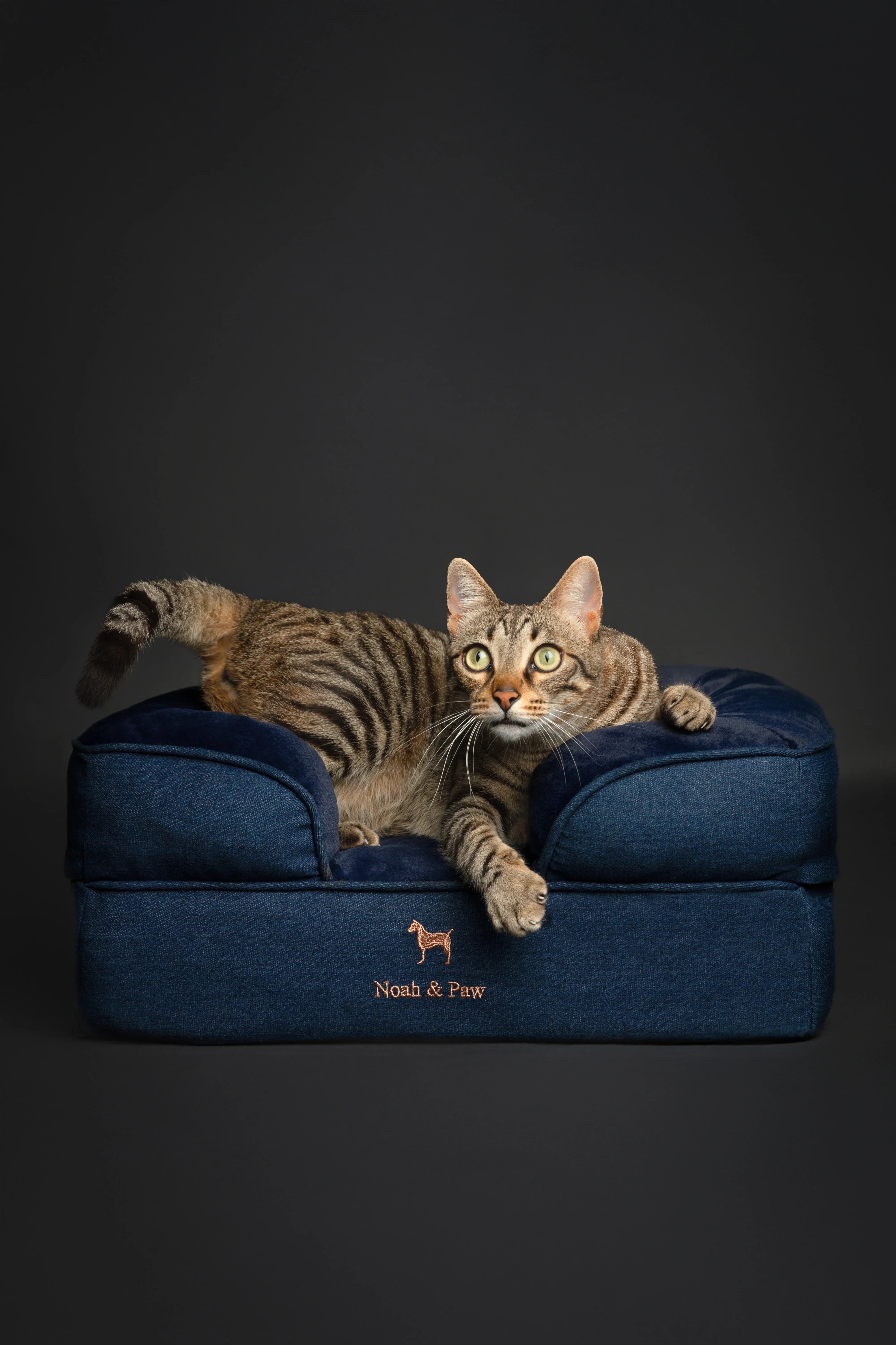 Denim Orthopedic Pet Bed, Memory Foam, Infused with Cooling Gel