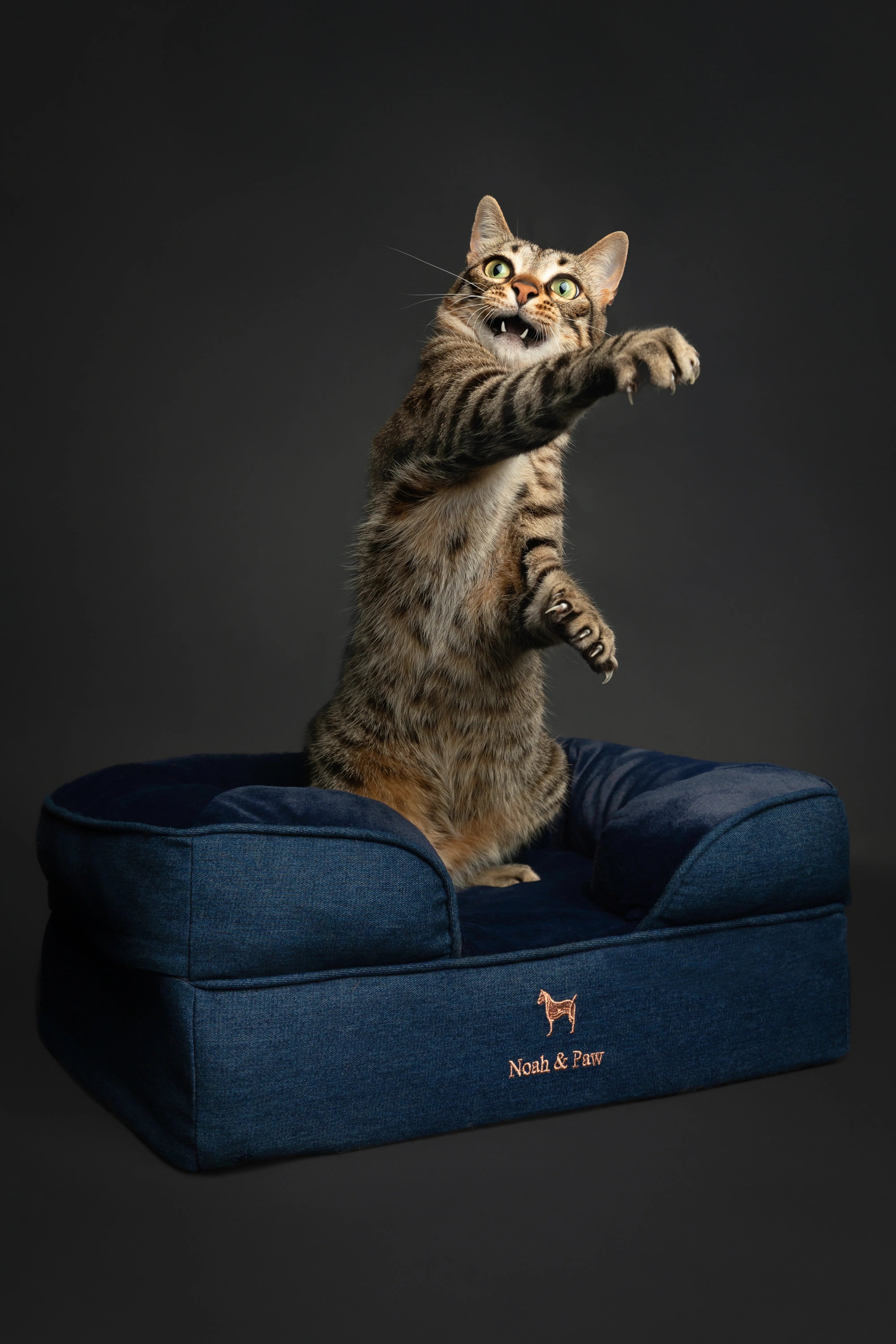 Denim Orthopedic Pet Bed, Memory Foam, Infused with Cooling Gel