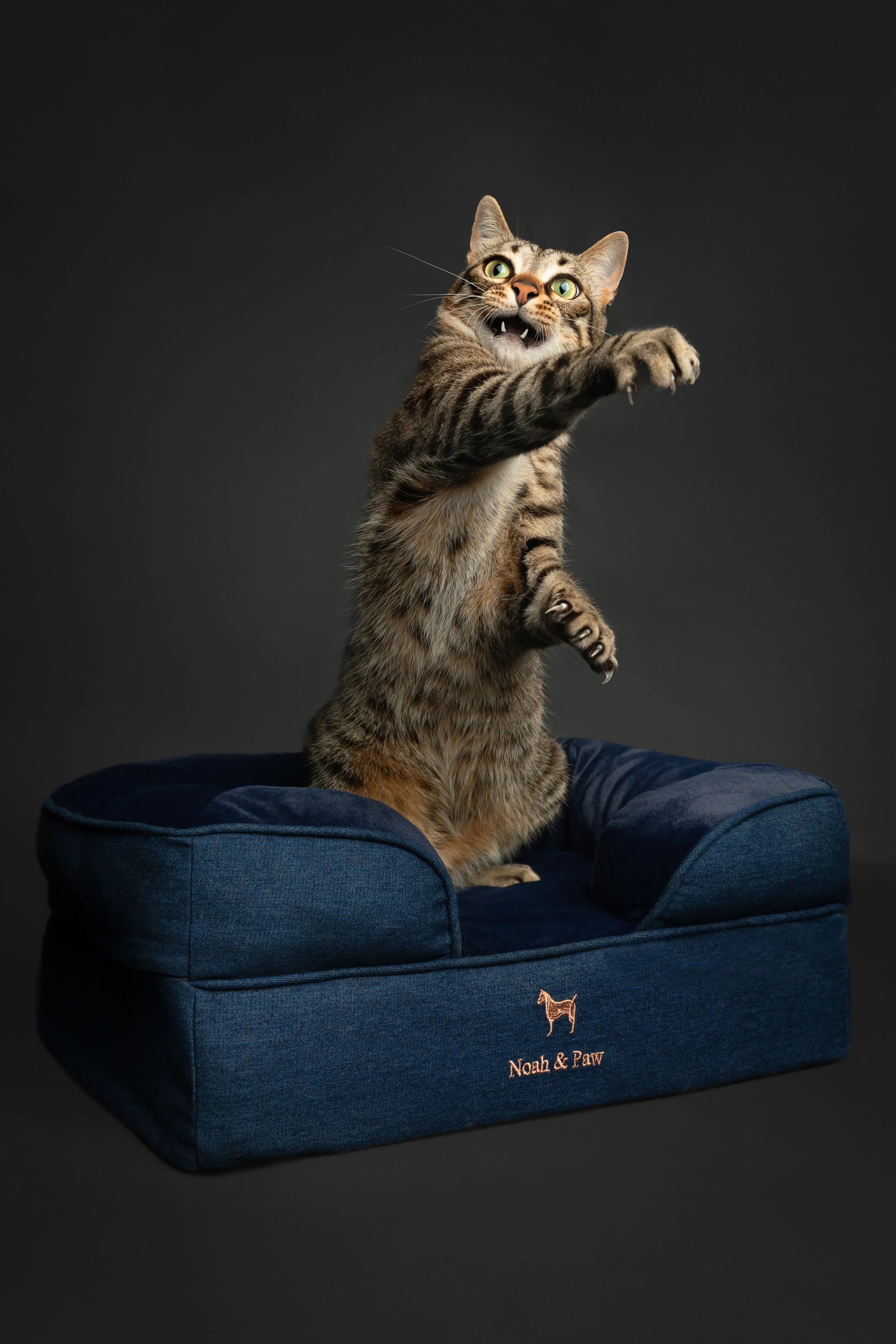 Denim Orthopedic Pet Bed, Memory Foam, Infused with Cooling Gel
