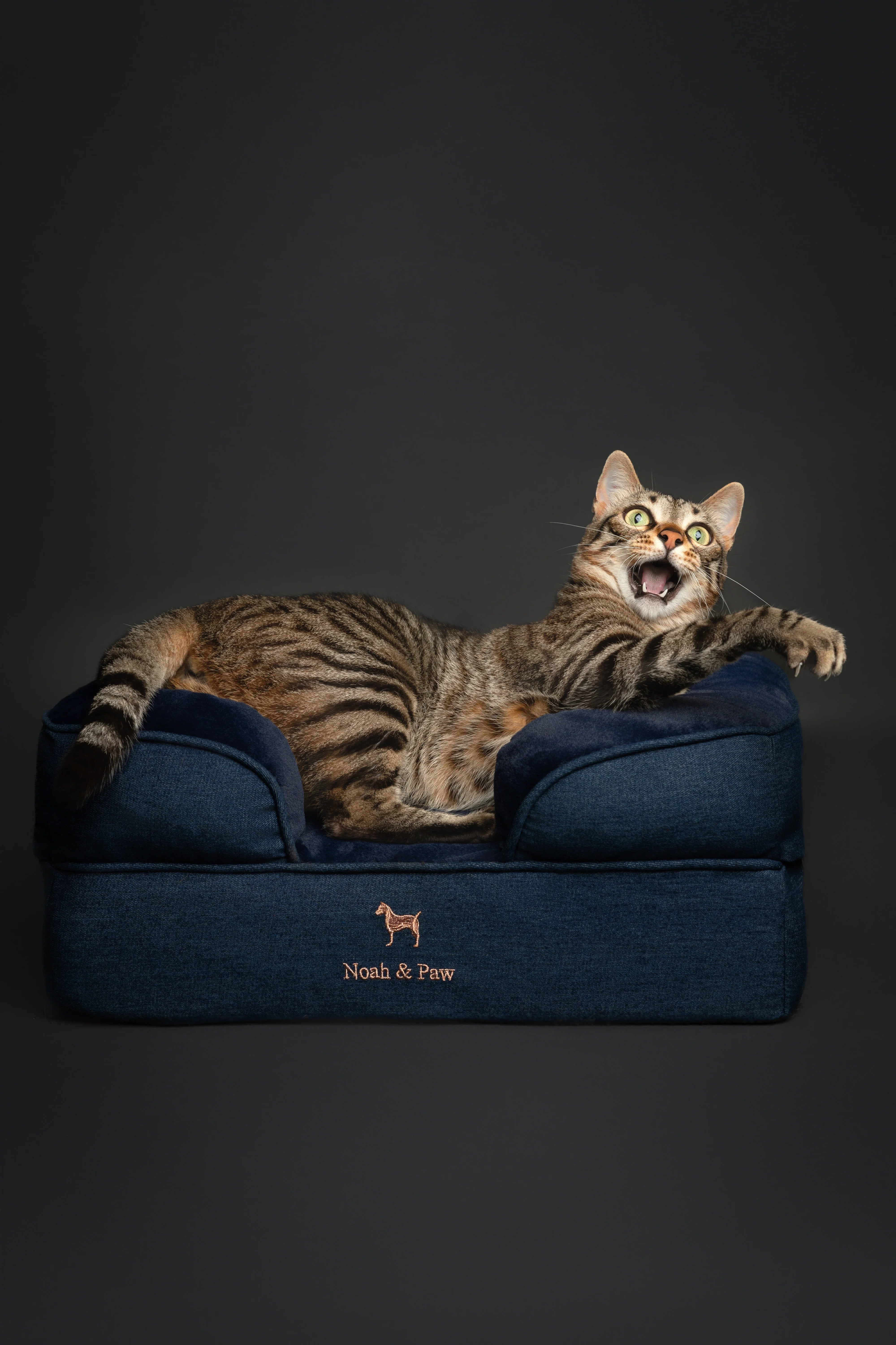 Denim Orthopedic Pet Bed, Memory Foam, Infused with Cooling Gel
