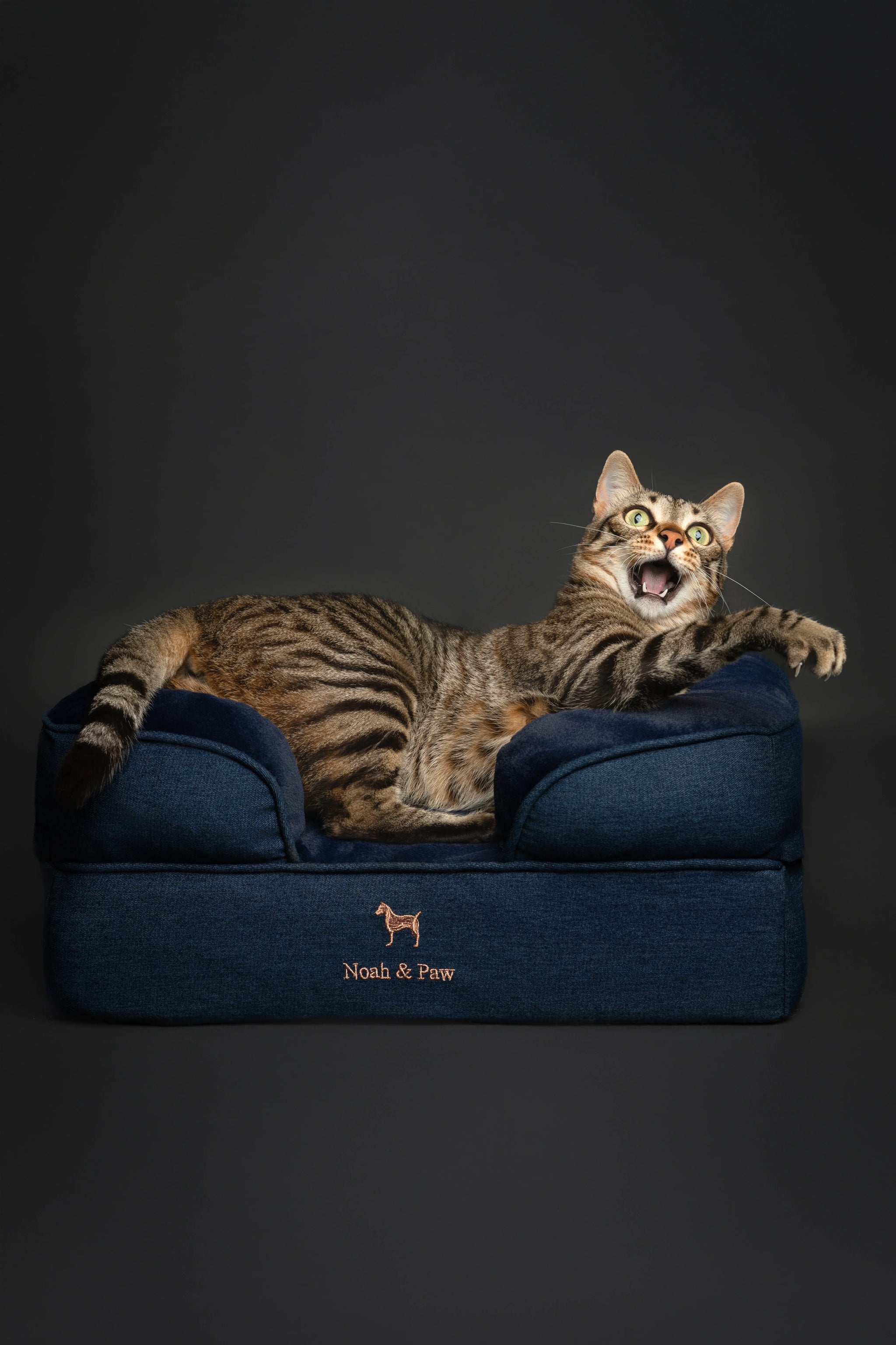 Denim Orthopedic Pet Bed, Memory Foam, Infused with Cooling Gel
