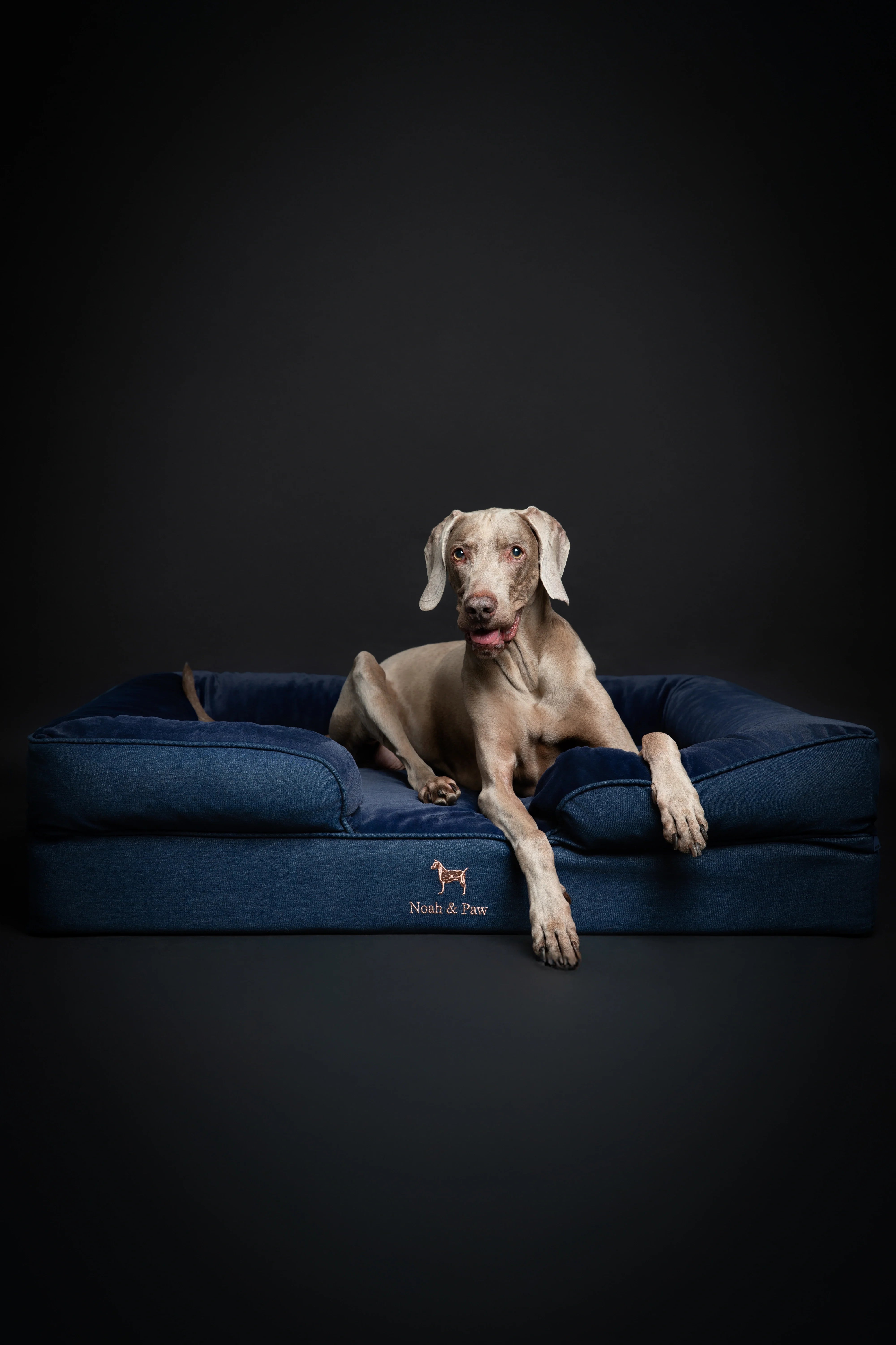 Denim Orthopedic Pet Bed, Memory Foam, Infused with Cooling Gel