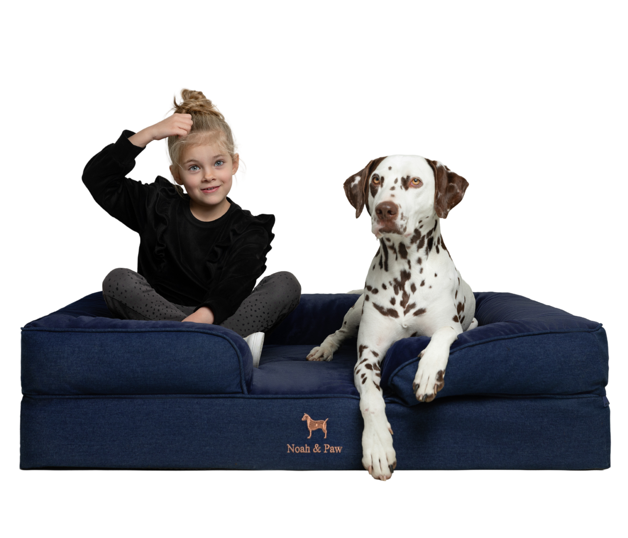 Denim, Orthopedic Pet Bed, Sofa Style - Dark Blue - XL