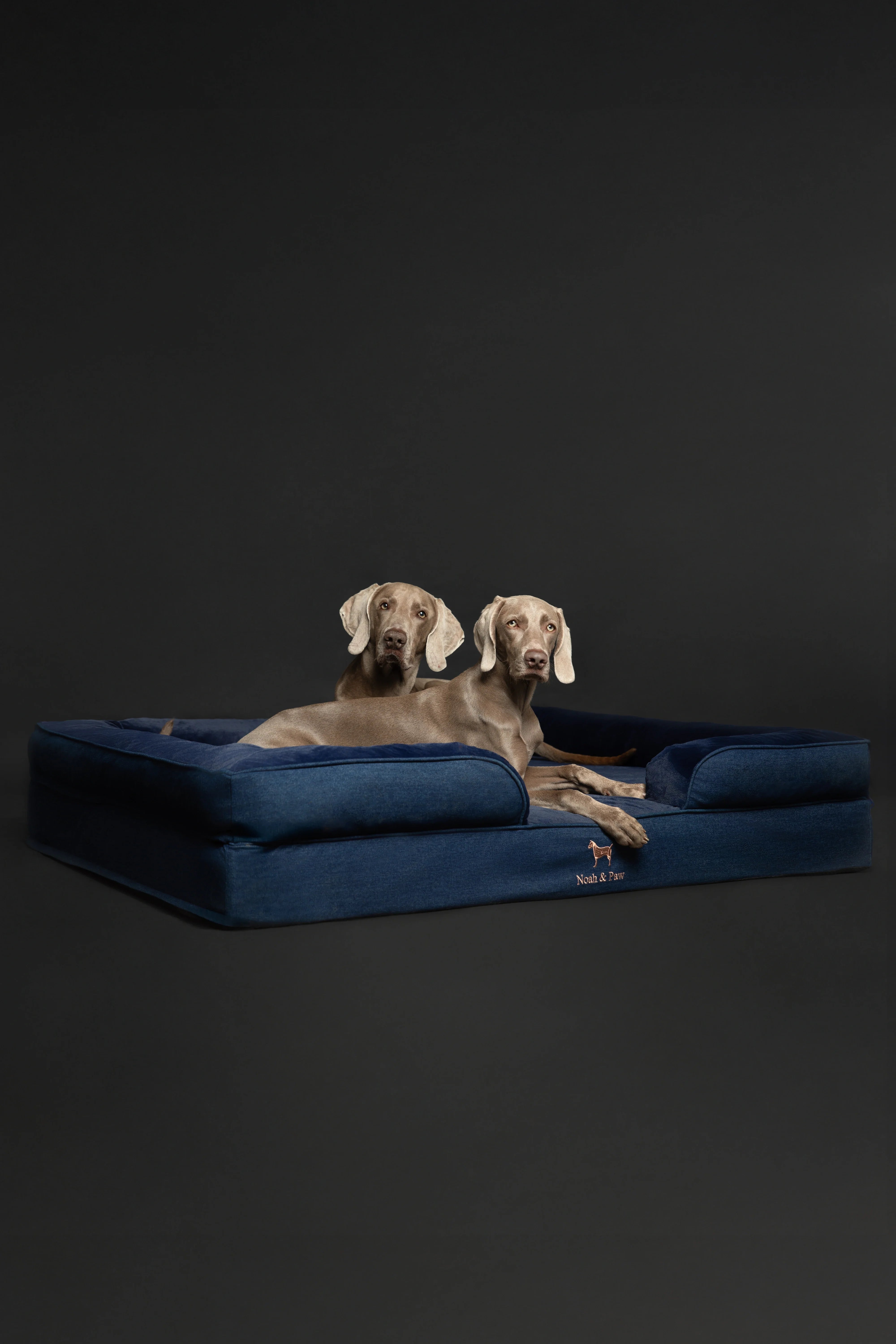 Denim Orthopedic Pet Bed, Memory Foam, Infused with Cooling Gel