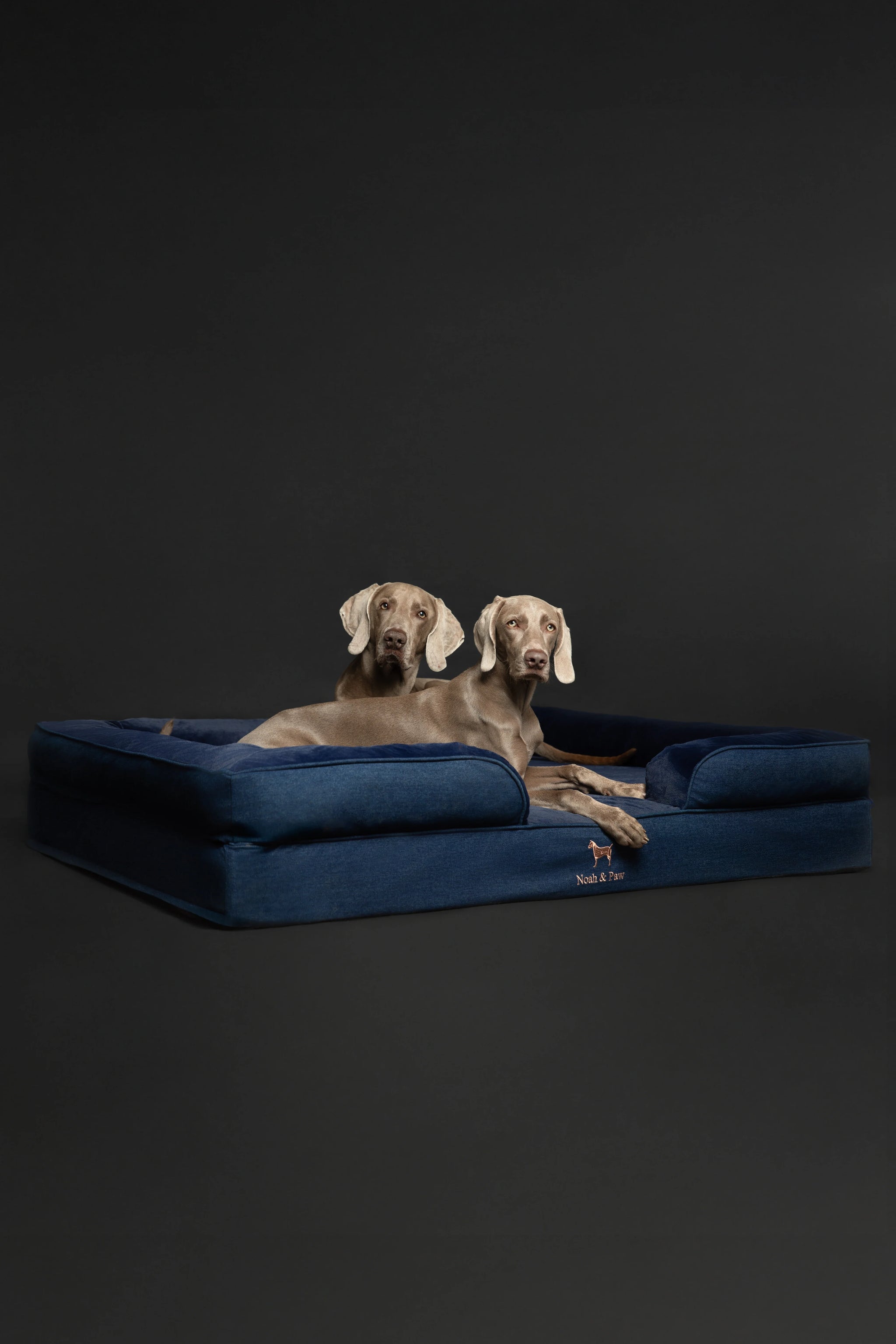Denim Orthopedic Pet Bed, Memory Foam, Infused with Cooling Gel