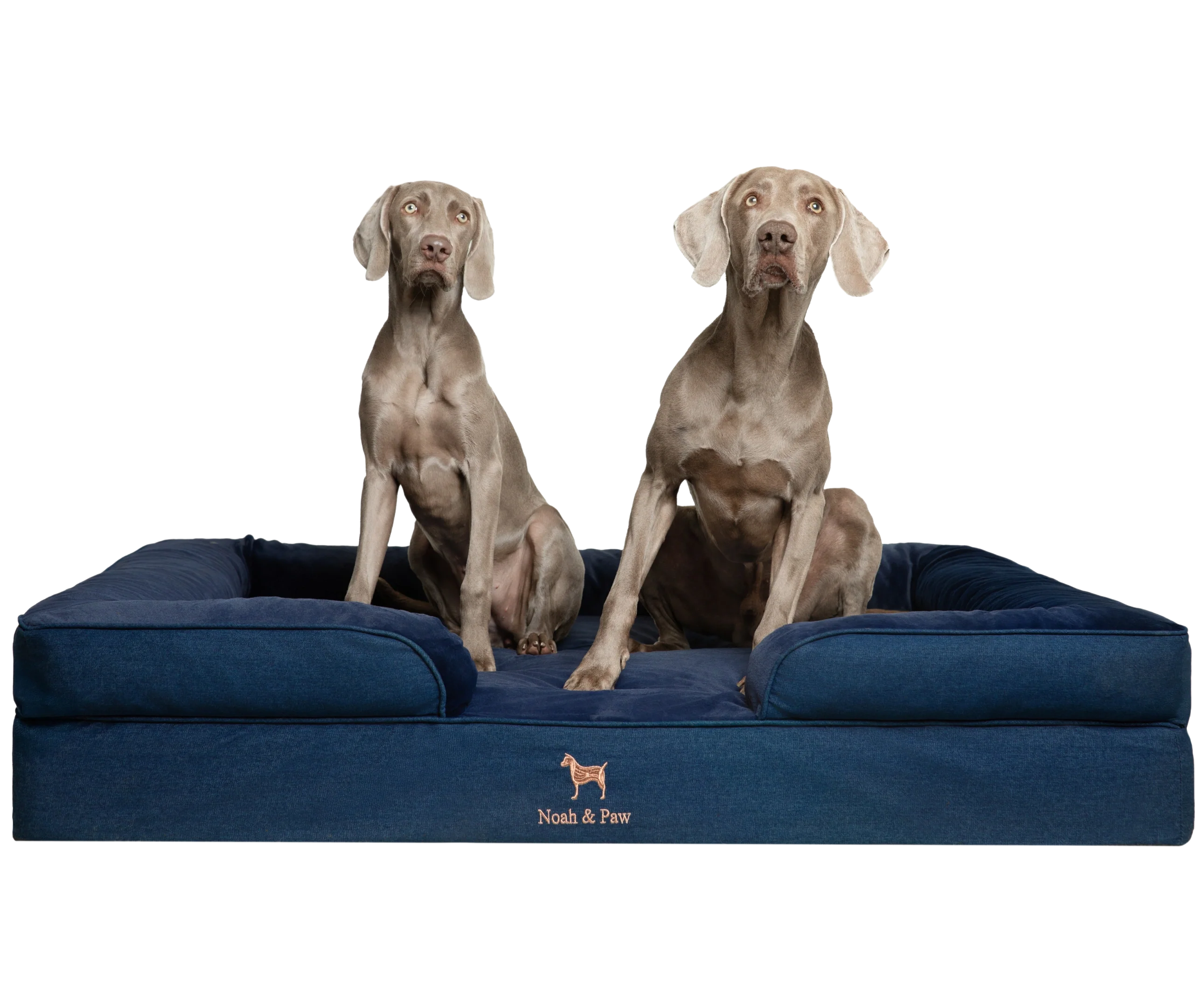 Denim, Orthopedic Pet Bed, Sofa Style - Dark Blue - XXL