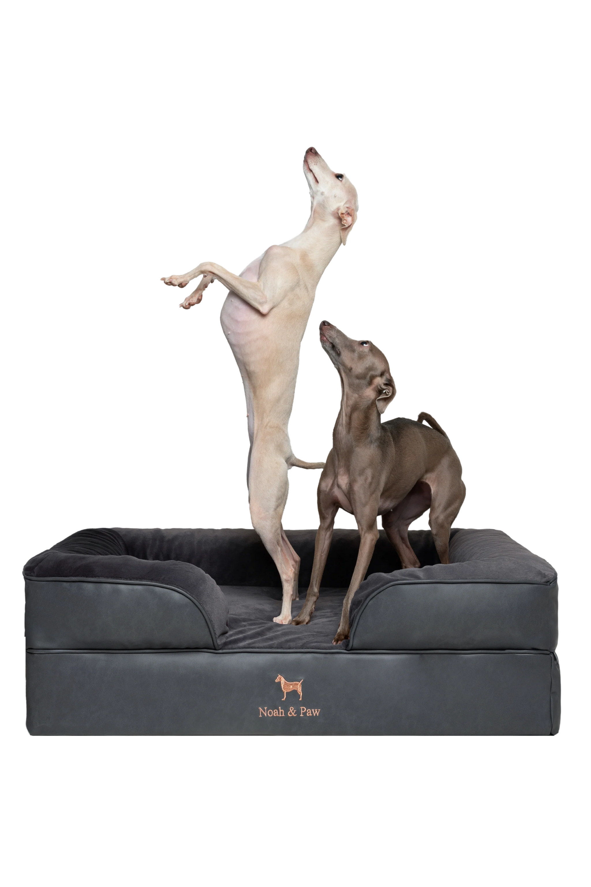 Orthopedic Faux Leather Pet Bed Sofa Style - Black - L