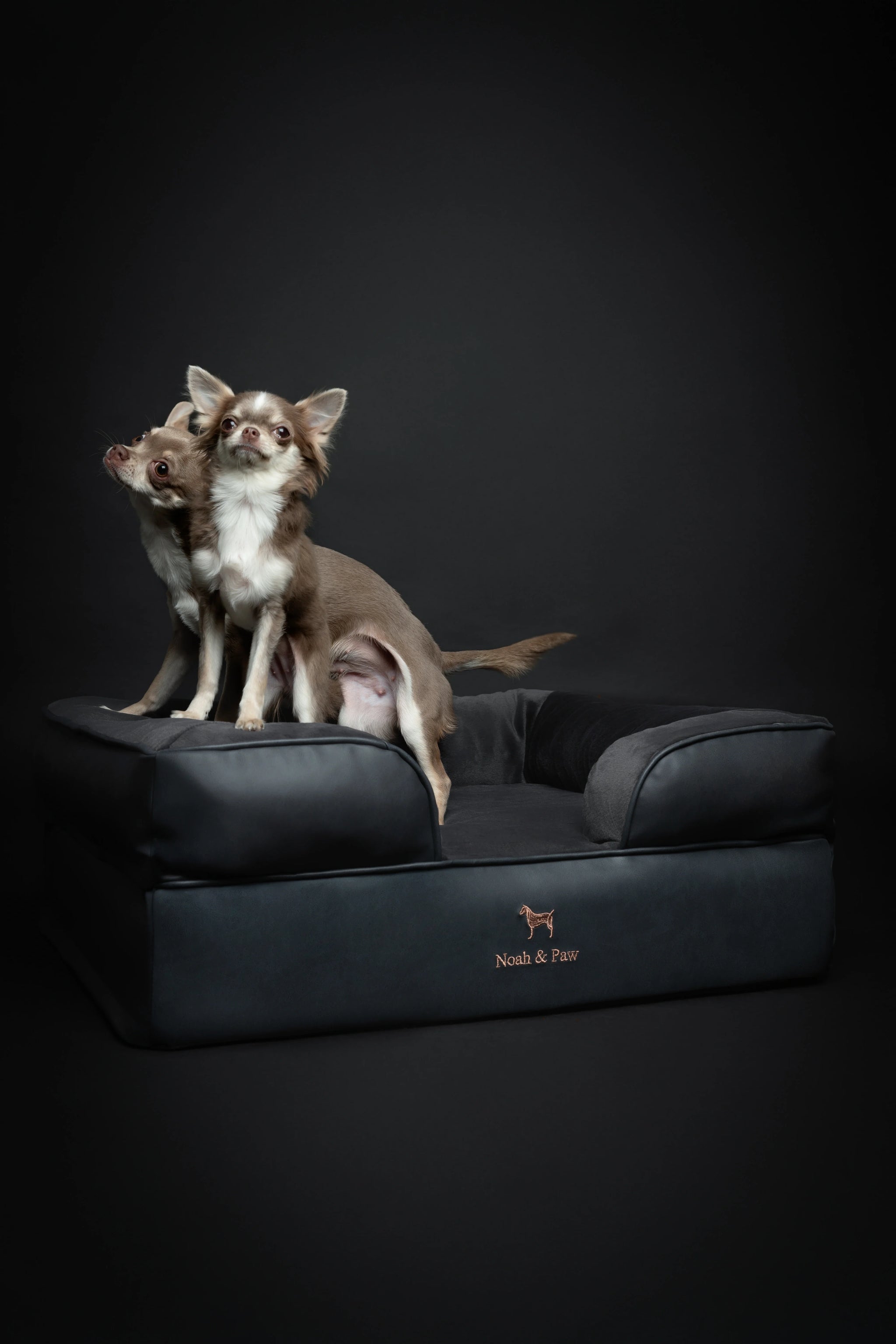 Faux Leather, Orthopedic Pet Bed, Eggshell Memory Foam, Infused with Cooling Gel, Sofa Style