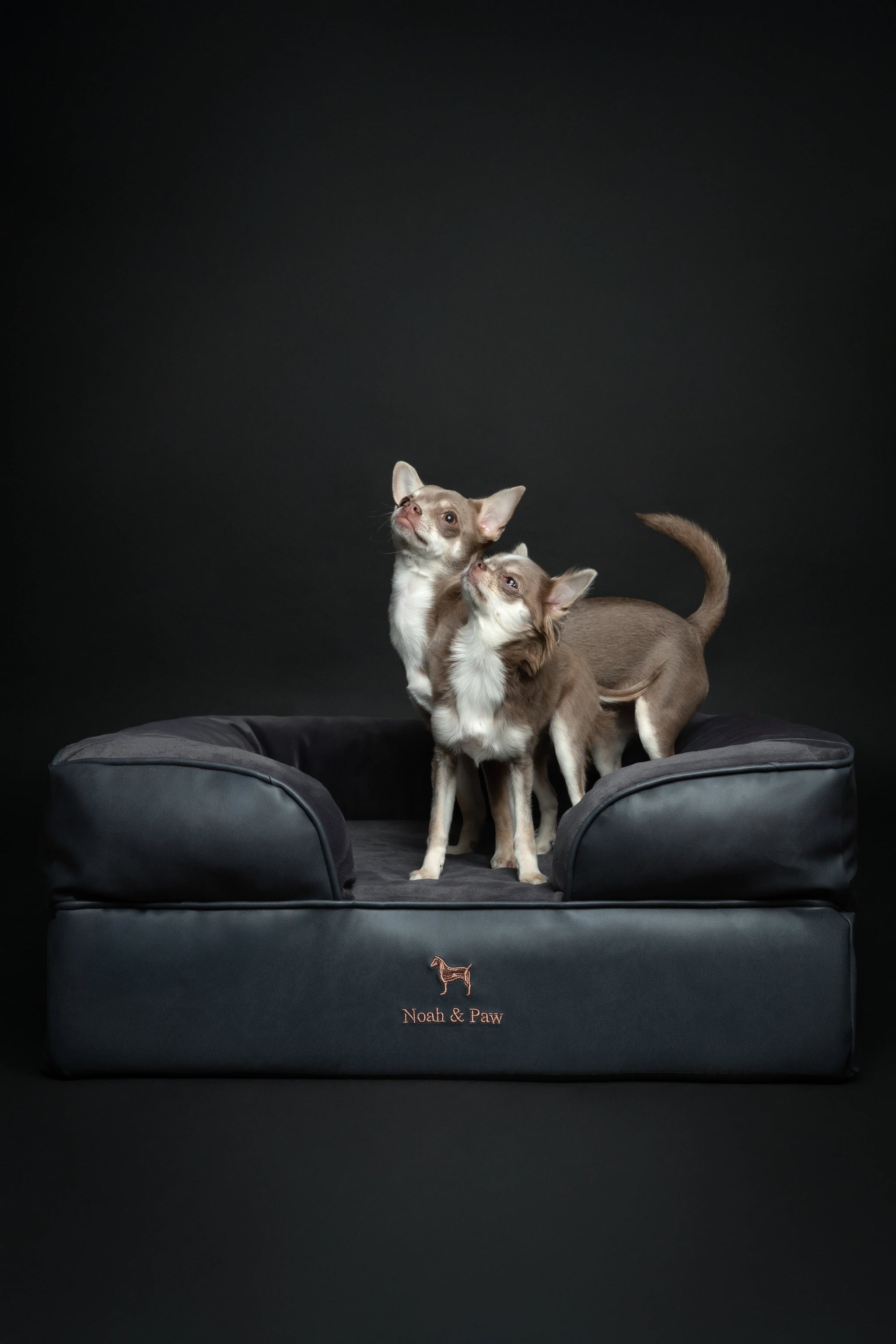 Faux Leather, Orthopedic Pet Bed, Eggshell Memory Foam, Infused with Cooling Gel, Sofa Style
