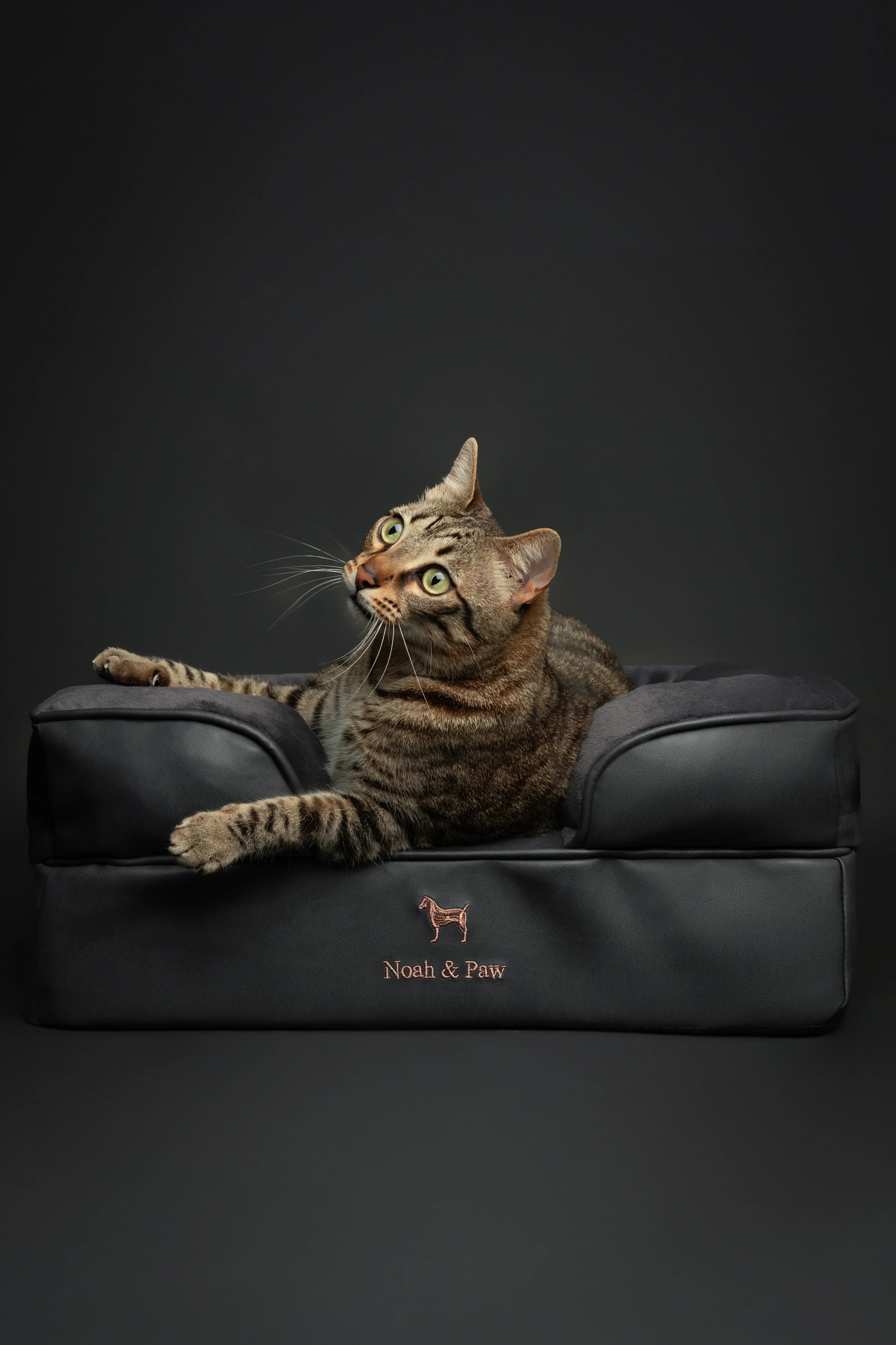 Faux Leather, Orthopedic Pet Bed, Eggshell Memory Foam, Infused with Cooling Gel, Sofa Style