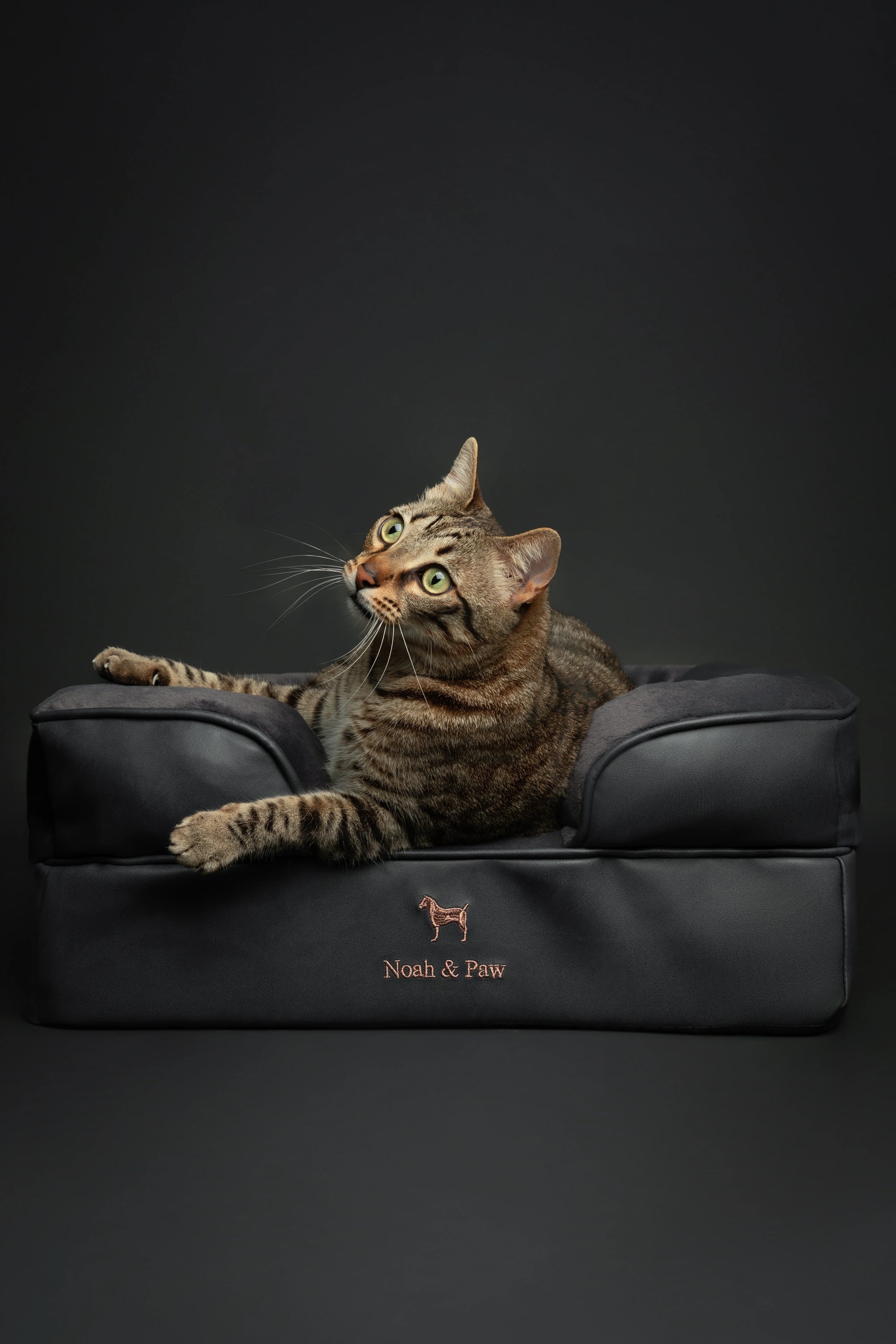 Faux Leather, Orthopedic Pet Bed, Eggshell Memory Foam, Infused with Cooling Gel, Sofa Style