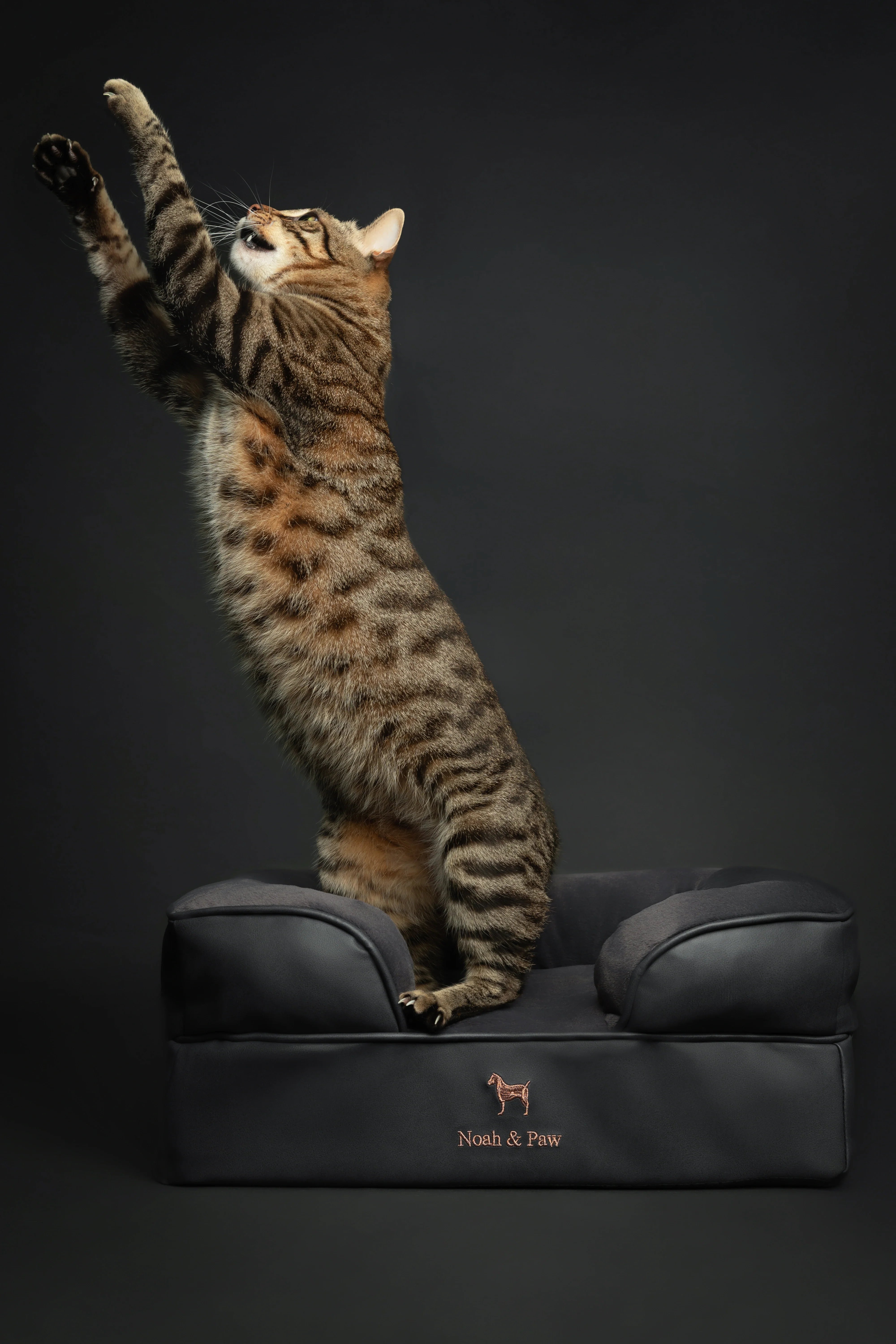 Faux Leather, Orthopedic Pet Bed, Eggshell Memory Foam, Infused with Cooling Gel, Sofa Style