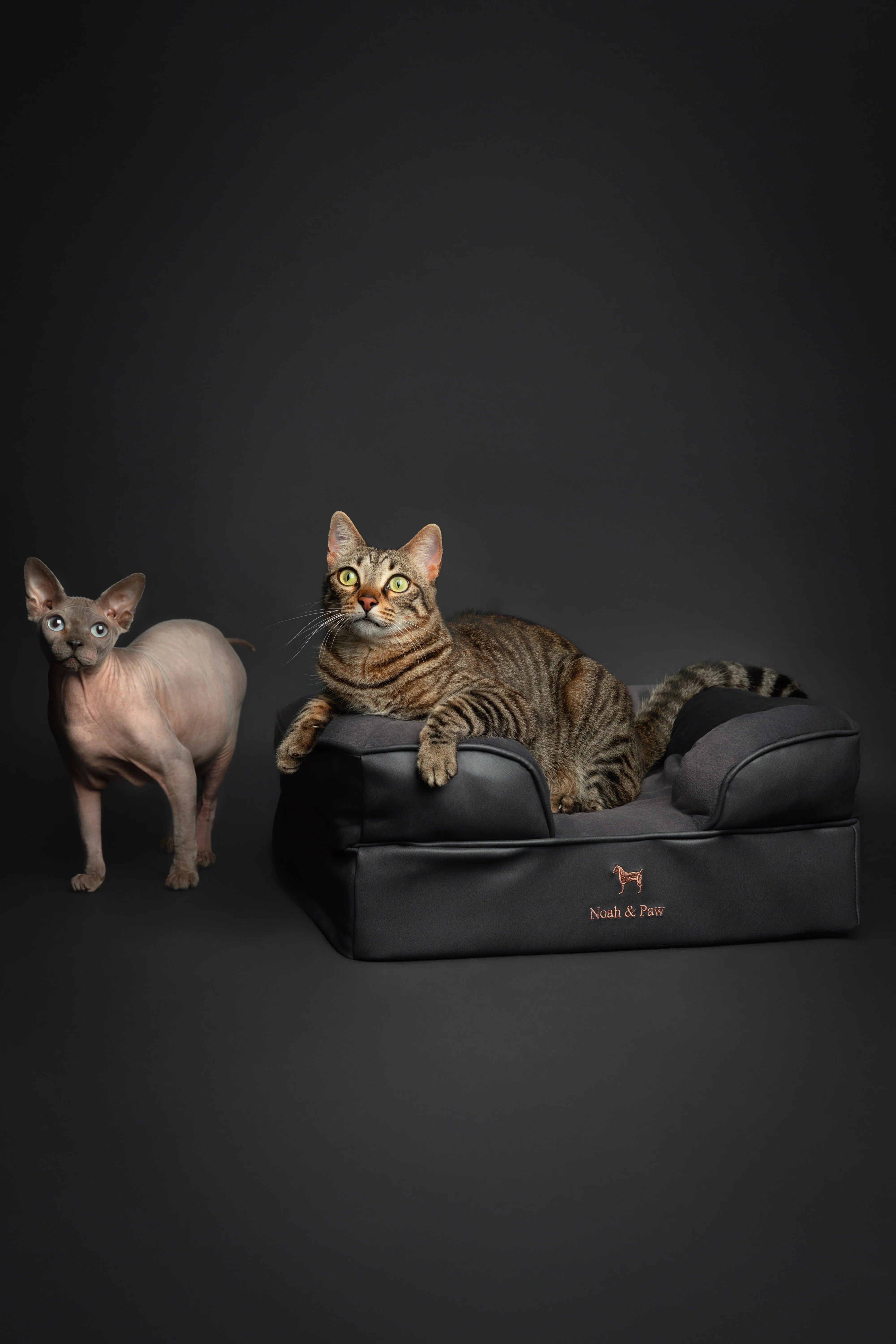 Faux Leather, Orthopedic Pet Bed, Eggshell Memory Foam, Infused with Cooling Gel, Sofa Style