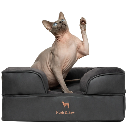 Orthopedic Faux Leather Pet Bed Sofa Style - Black - S