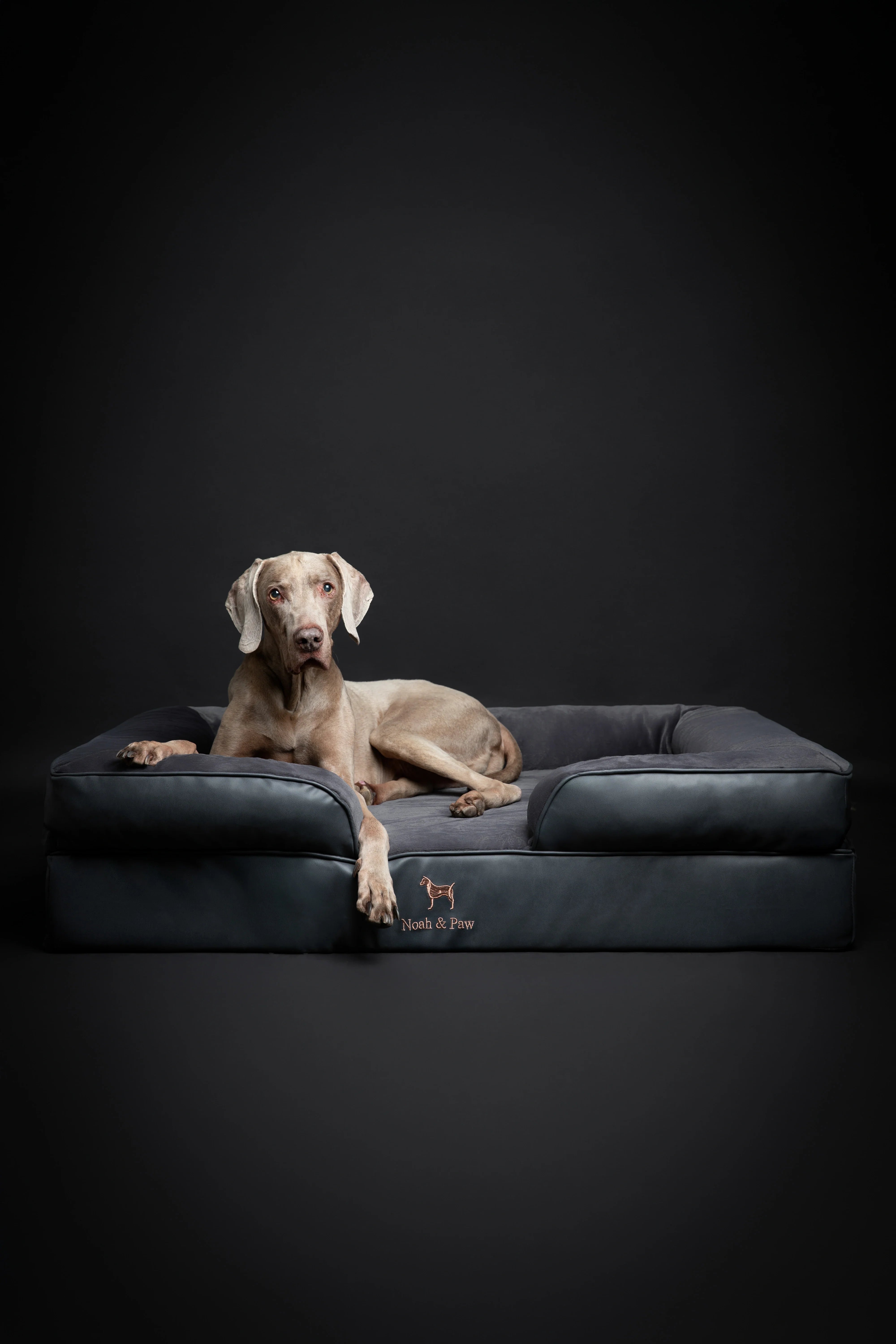 Faux Leather, Orthopedic Pet Bed, Eggshell Memory Foam, Infused with Cooling Gel, Sofa Style