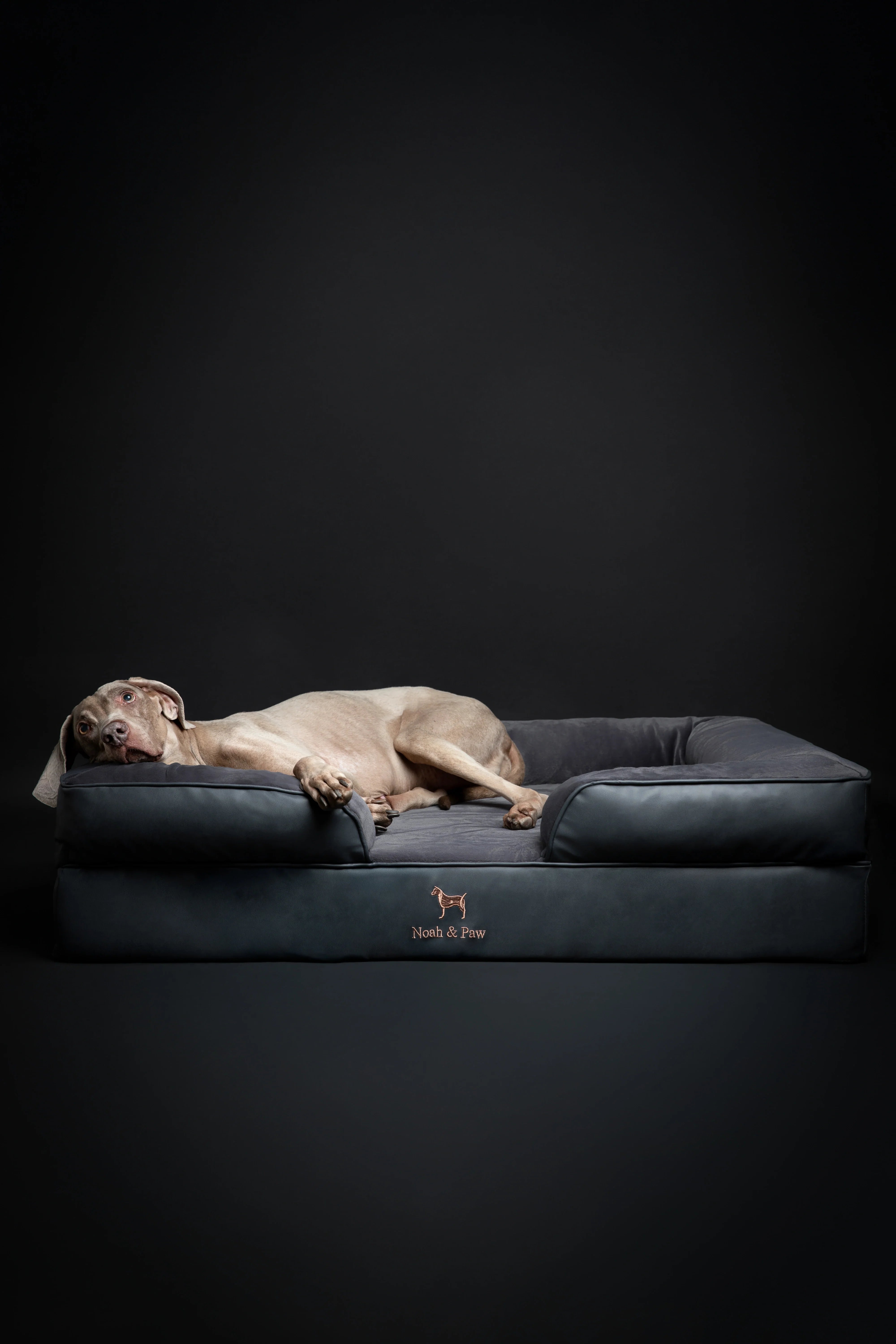 Faux Leather, Orthopedic Pet Bed, Eggshell Memory Foam, Infused with Cooling Gel, Sofa Style