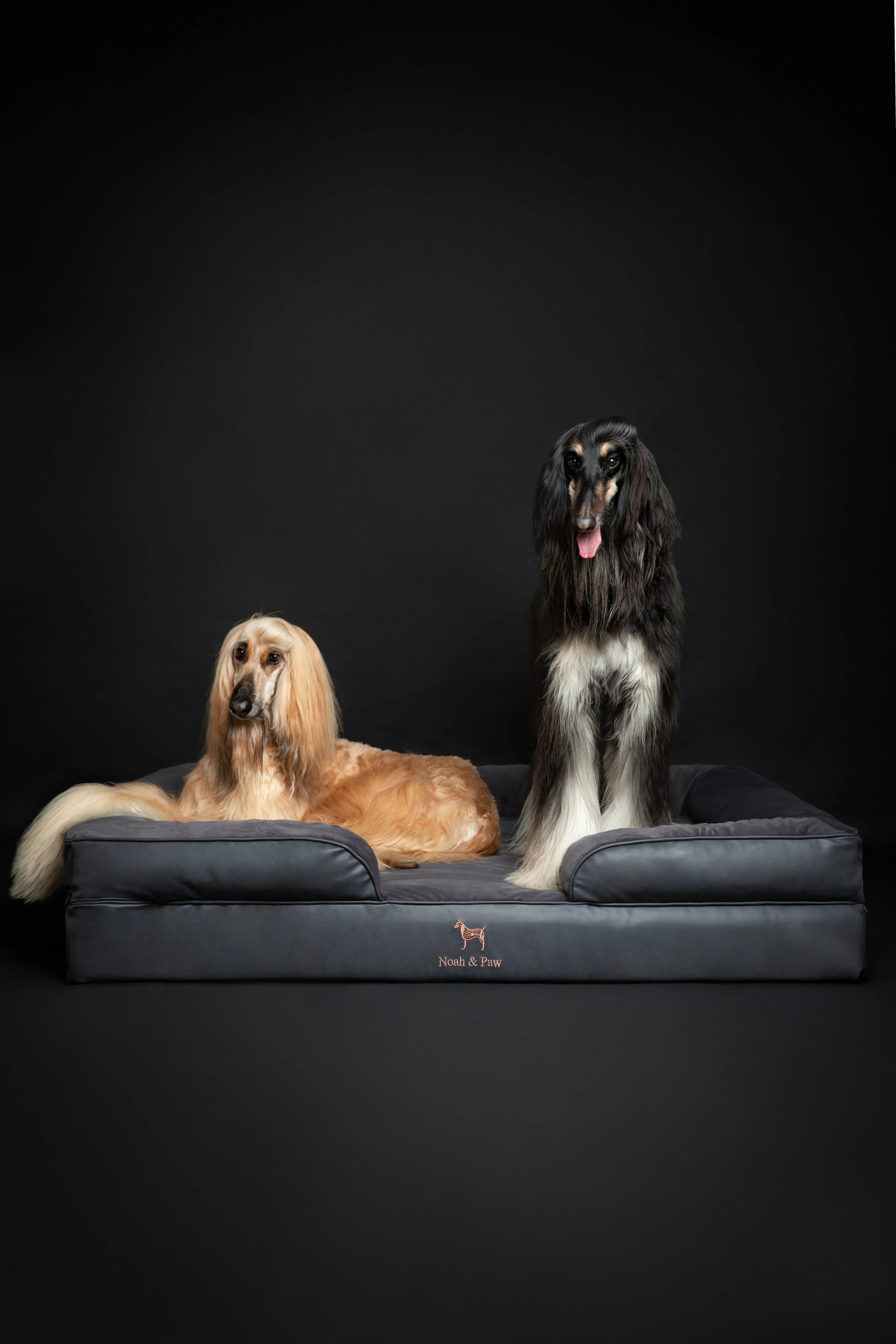 Faux Leather, Orthopedic Pet Bed, Eggshell Memory Foam, Infused with Cooling Gel, Sofa Style