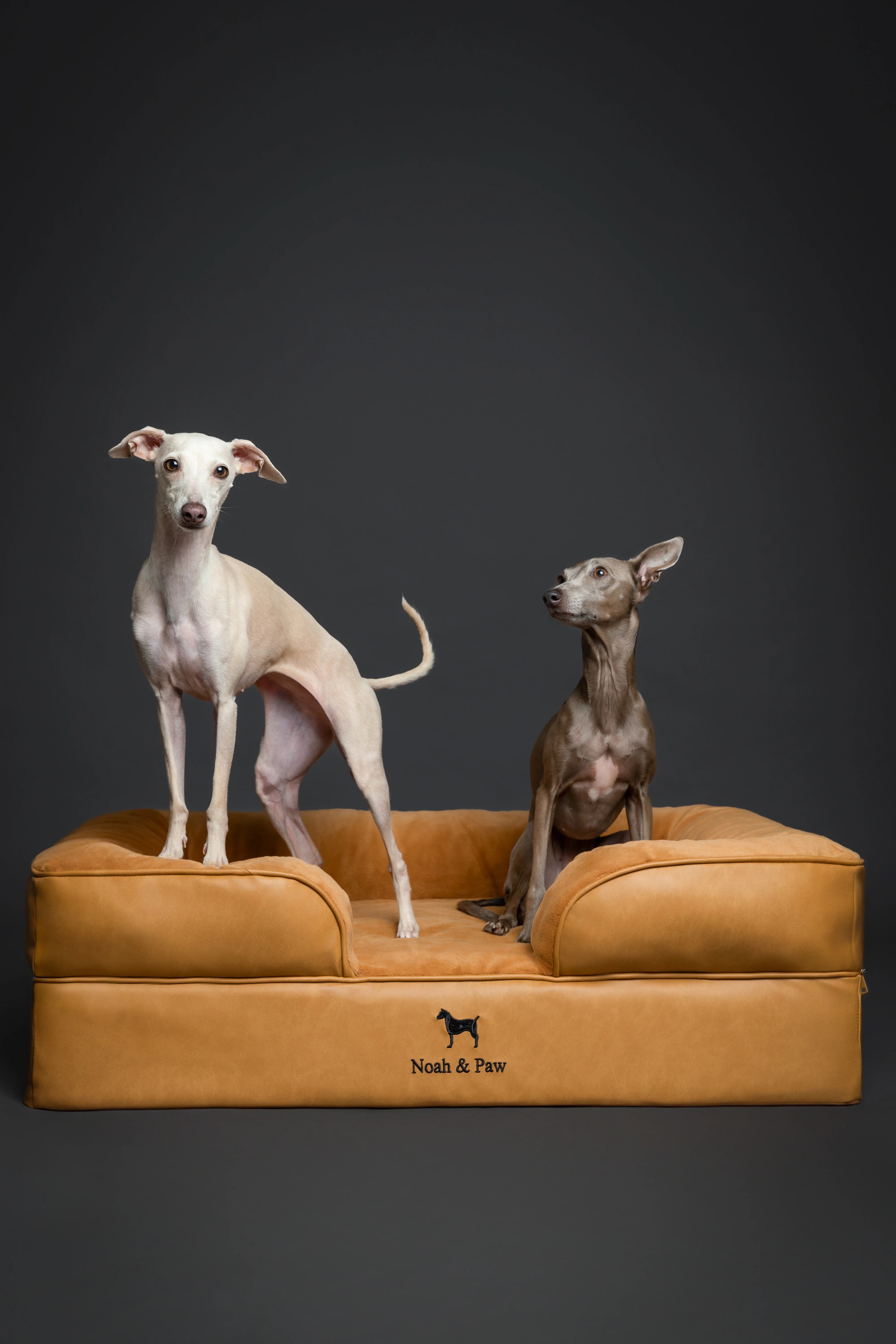 Faux Leather, Orthopedic Pet Bed, Eggshell Memory Foam, Infused with Cooling Gel, Sofa Style