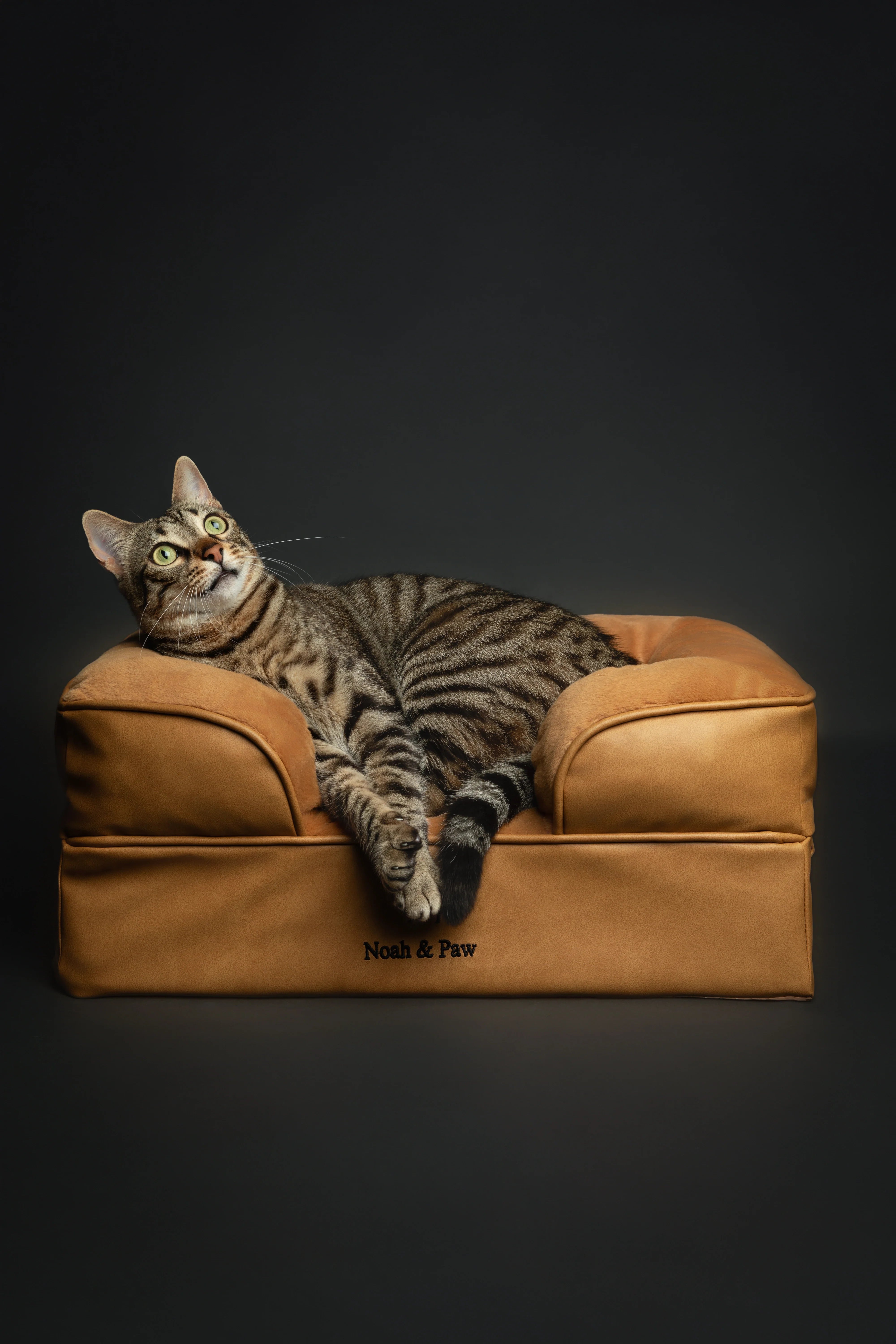 Faux Leather, Orthopedic Pet Bed, Eggshell Memory Foam, Infused with Cooling Gel, Sofa Style