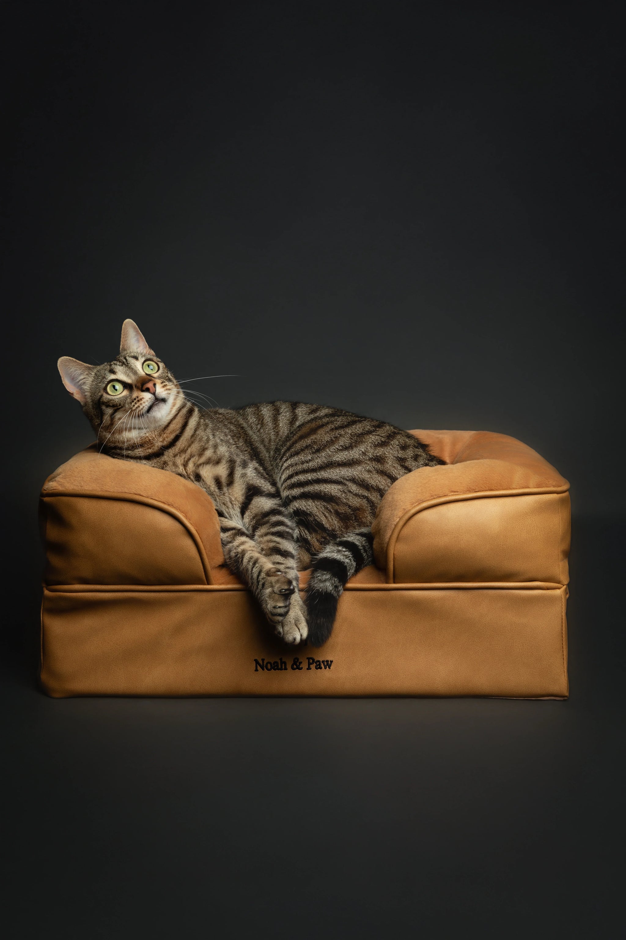 Faux Leather, Orthopedic Pet Bed, Eggshell Memory Foam, Infused with Cooling Gel, Sofa Style