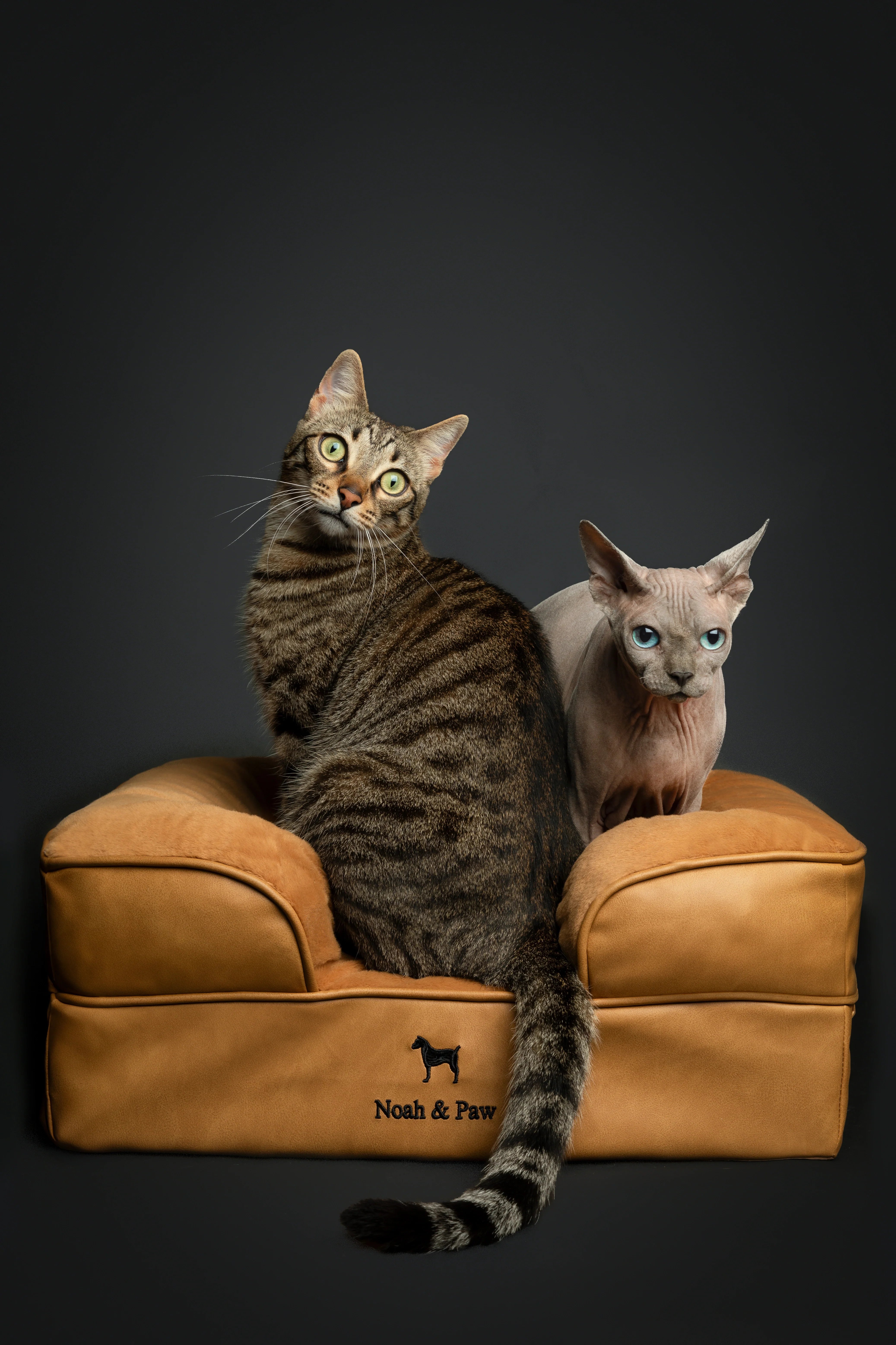 Faux Leather, Orthopedic Pet Bed, Eggshell Memory Foam, Infused with Cooling Gel, Sofa Style