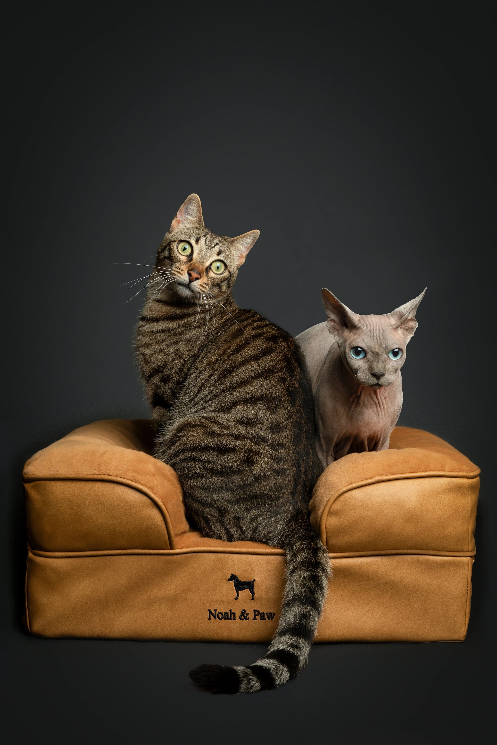 Faux Leather, Orthopedic Pet Bed, Eggshell Memory Foam, Infused with Cooling Gel, Sofa Style