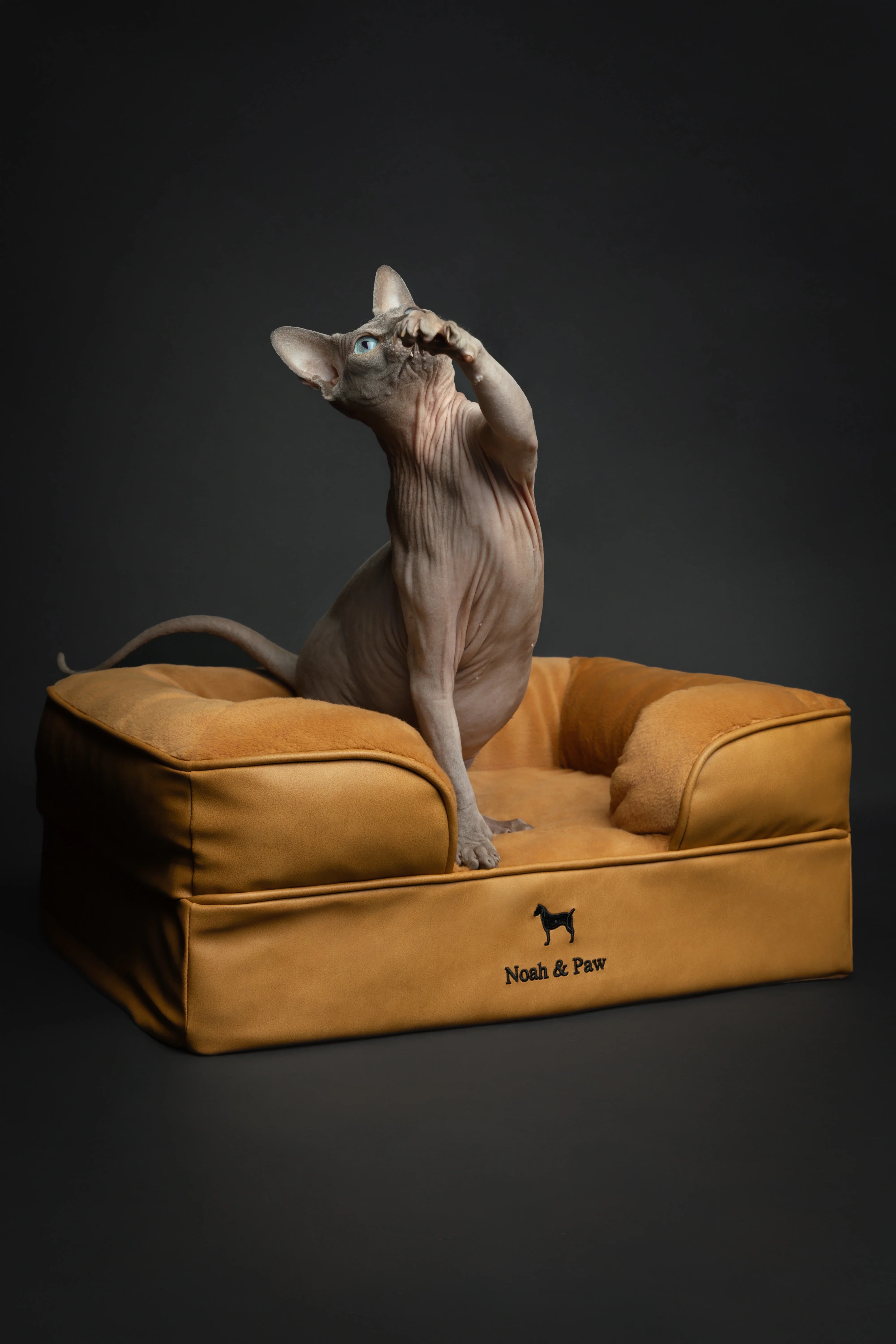 Faux Leather, Orthopedic Pet Bed, Eggshell Memory Foam, Infused with Cooling Gel, Sofa Style