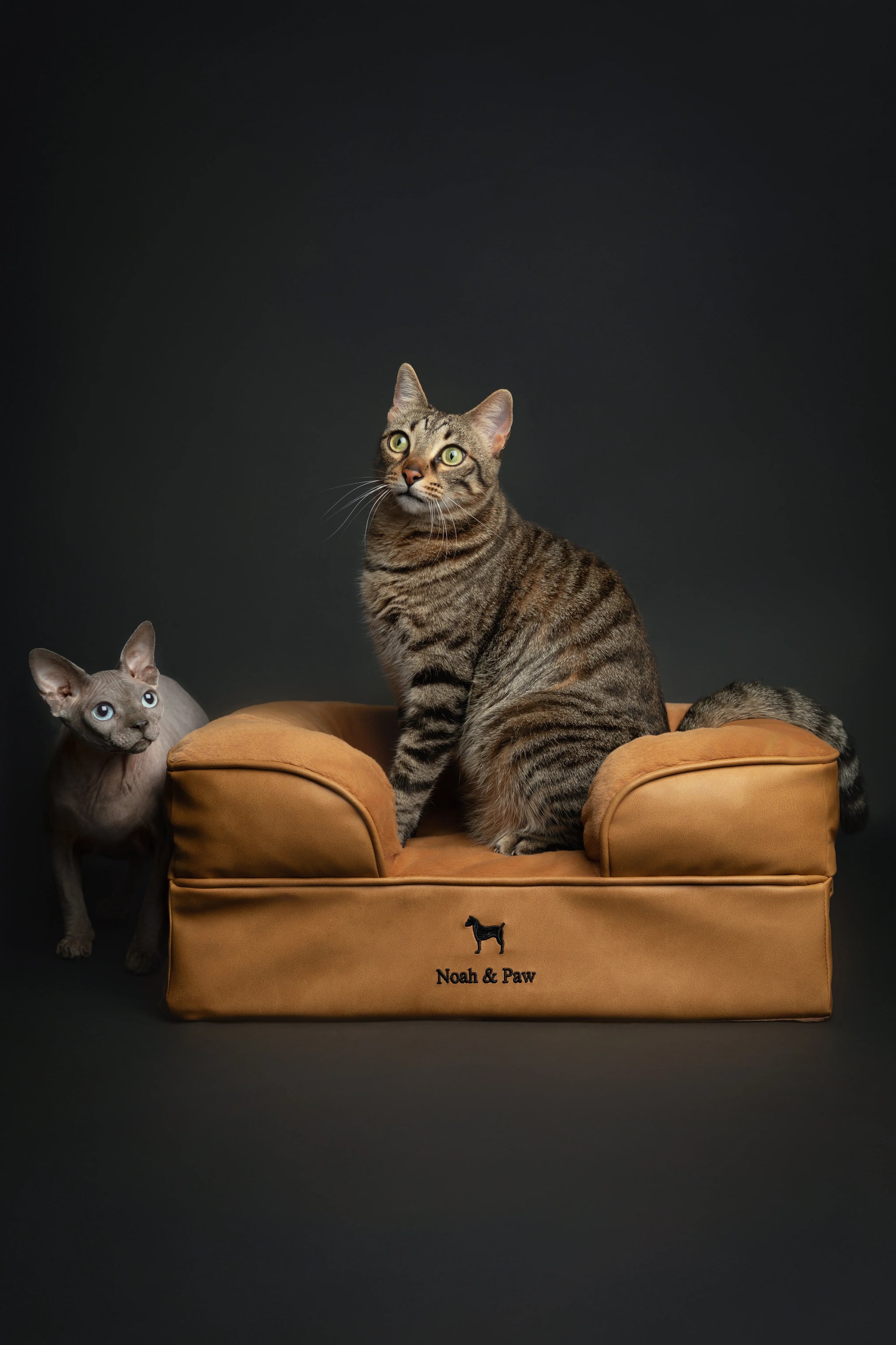 Faux Leather, Orthopedic Pet Bed, Eggshell Memory Foam, Infused with Cooling Gel, Sofa Style