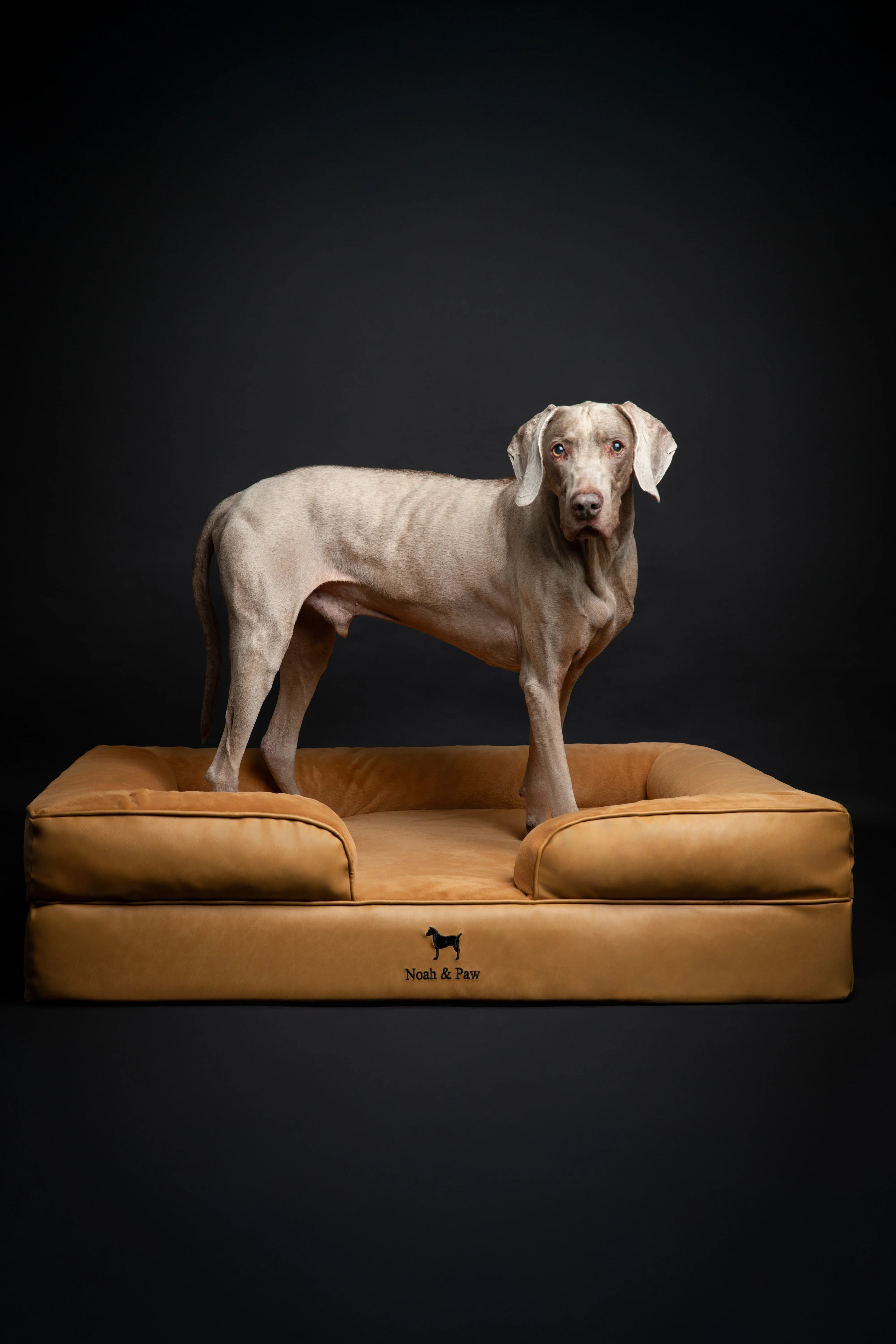 Faux Leather, Orthopedic Pet Bed, Eggshell Memory Foam, Infused with Cooling Gel, Sofa Style