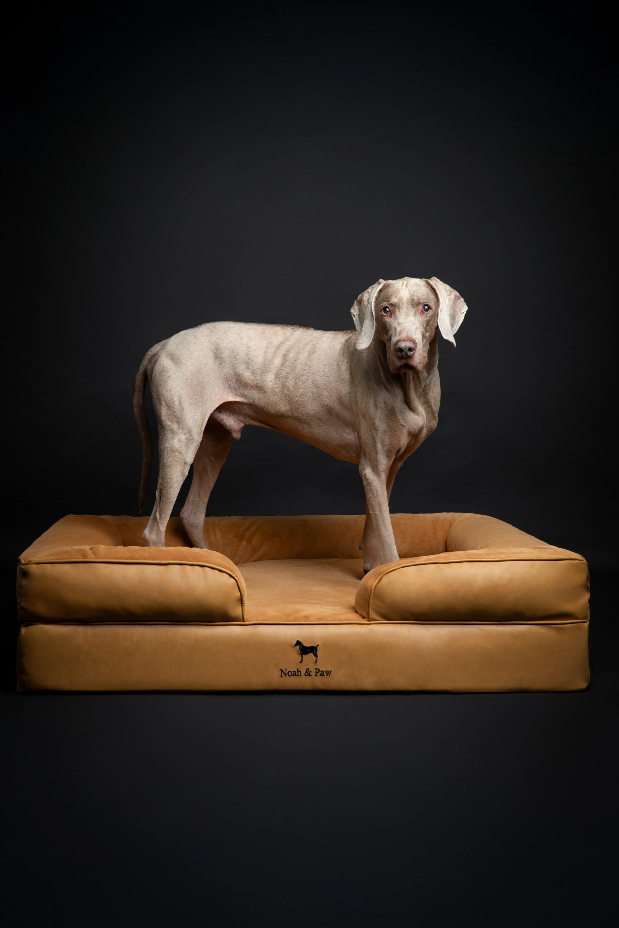 Faux Leather, Orthopedic Pet Bed, Eggshell Memory Foam, Infused with Cooling Gel, Sofa Style
