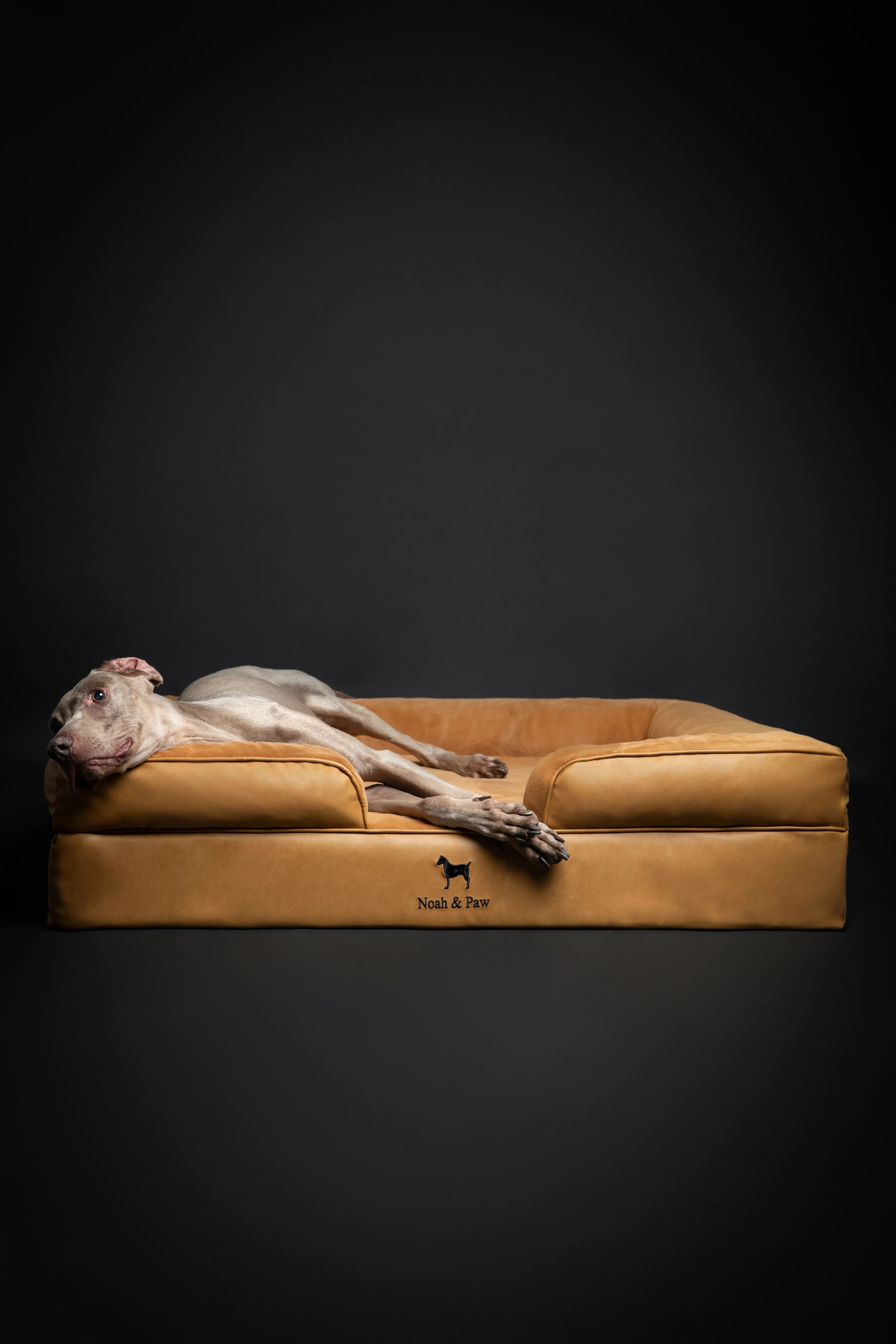 Faux Leather, Orthopedic Pet Bed, Eggshell Memory Foam, Infused with Cooling Gel, Sofa Style