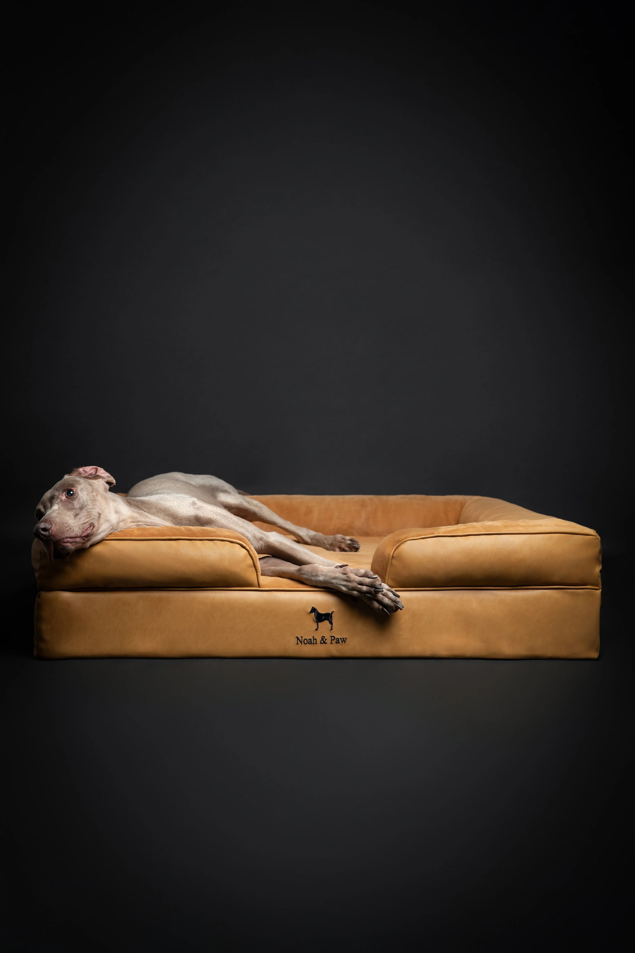 Faux Leather, Orthopedic Pet Bed, Eggshell Memory Foam, Infused with Cooling Gel, Sofa Style