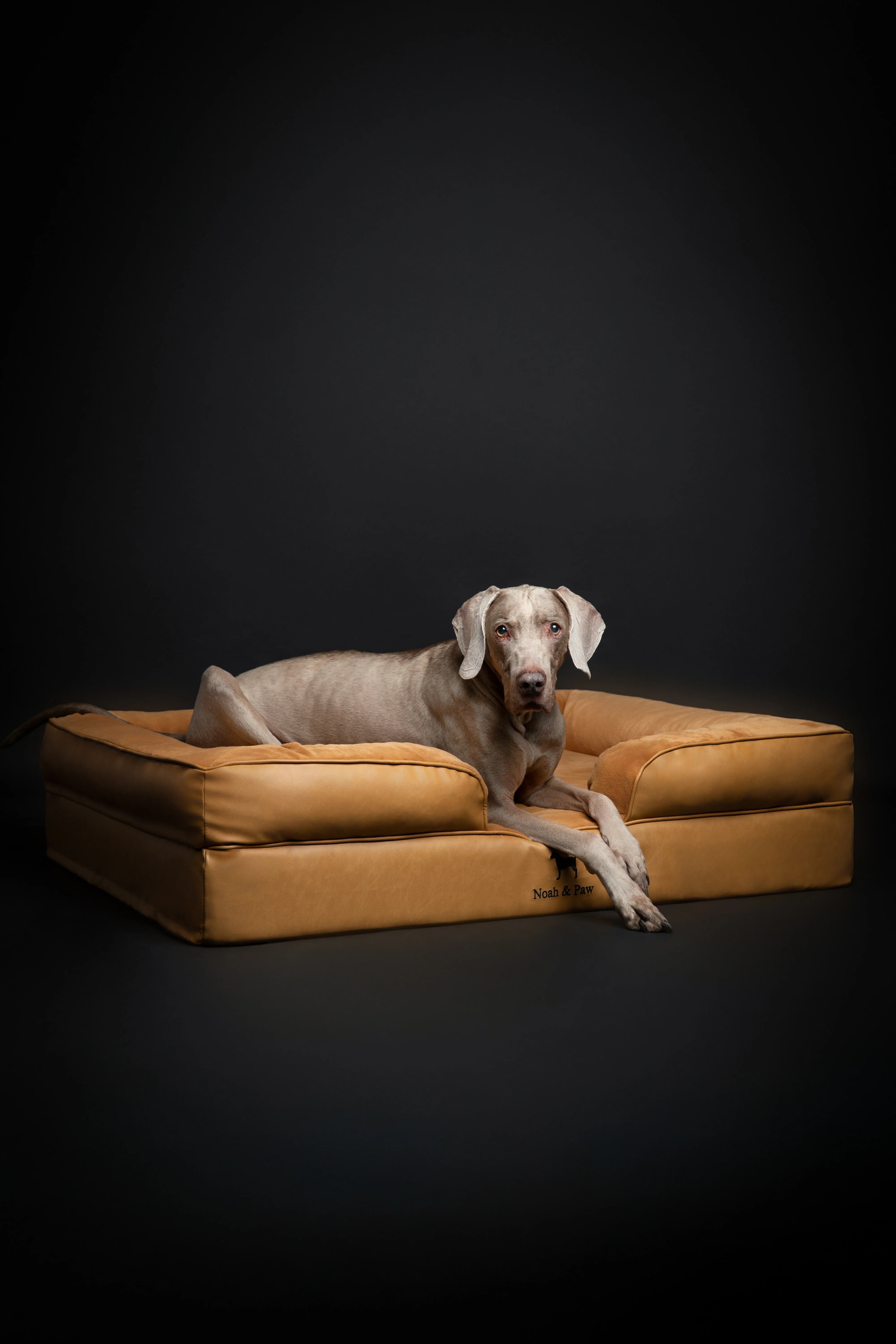 Faux Leather, Orthopedic Pet Bed, Eggshell Memory Foam, Infused with Cooling Gel, Sofa Style
