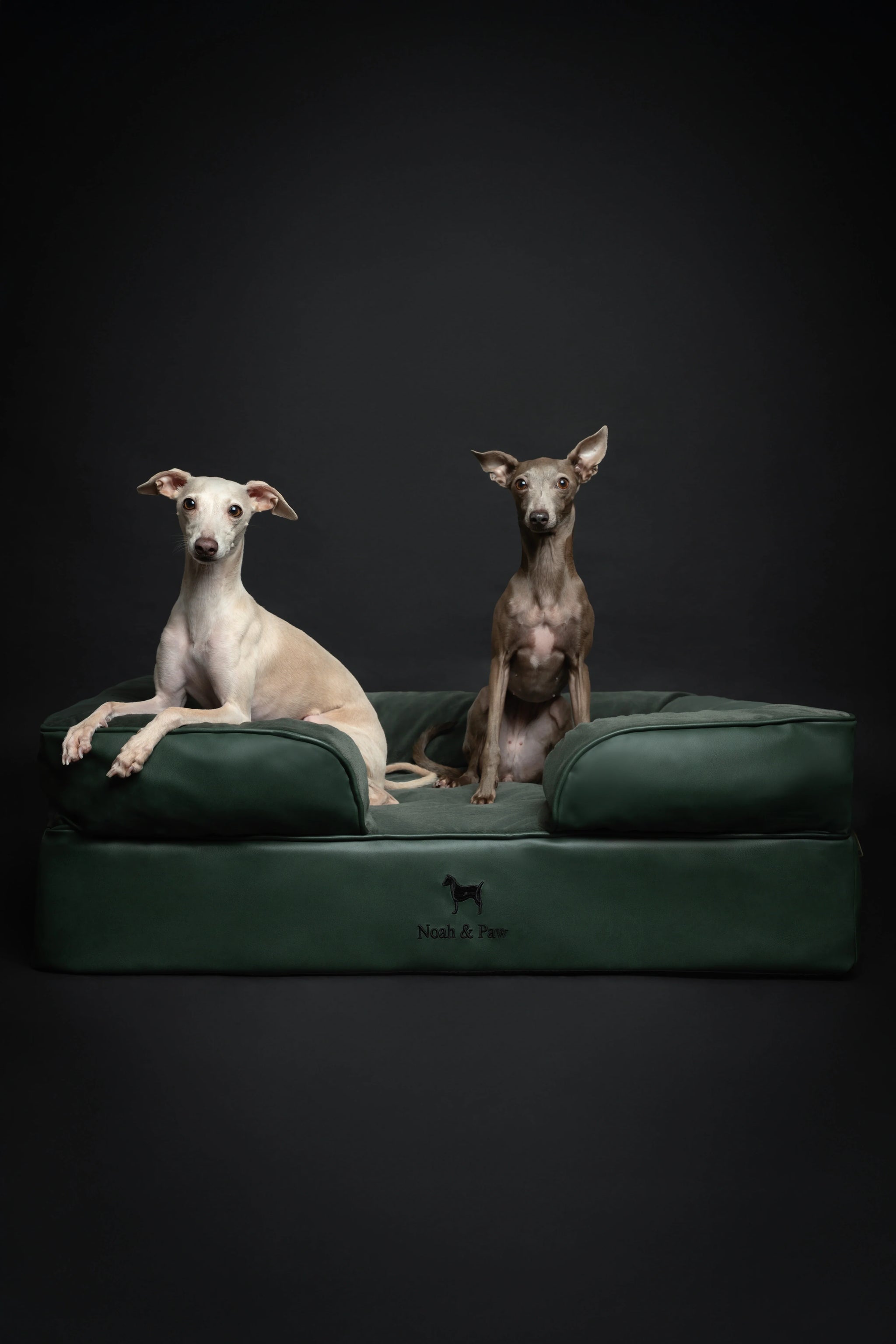 Faux Leather, Orthopedic Pet Bed, Eggshell Memory Foam, Infused with Cooling Gel, Sofa Style