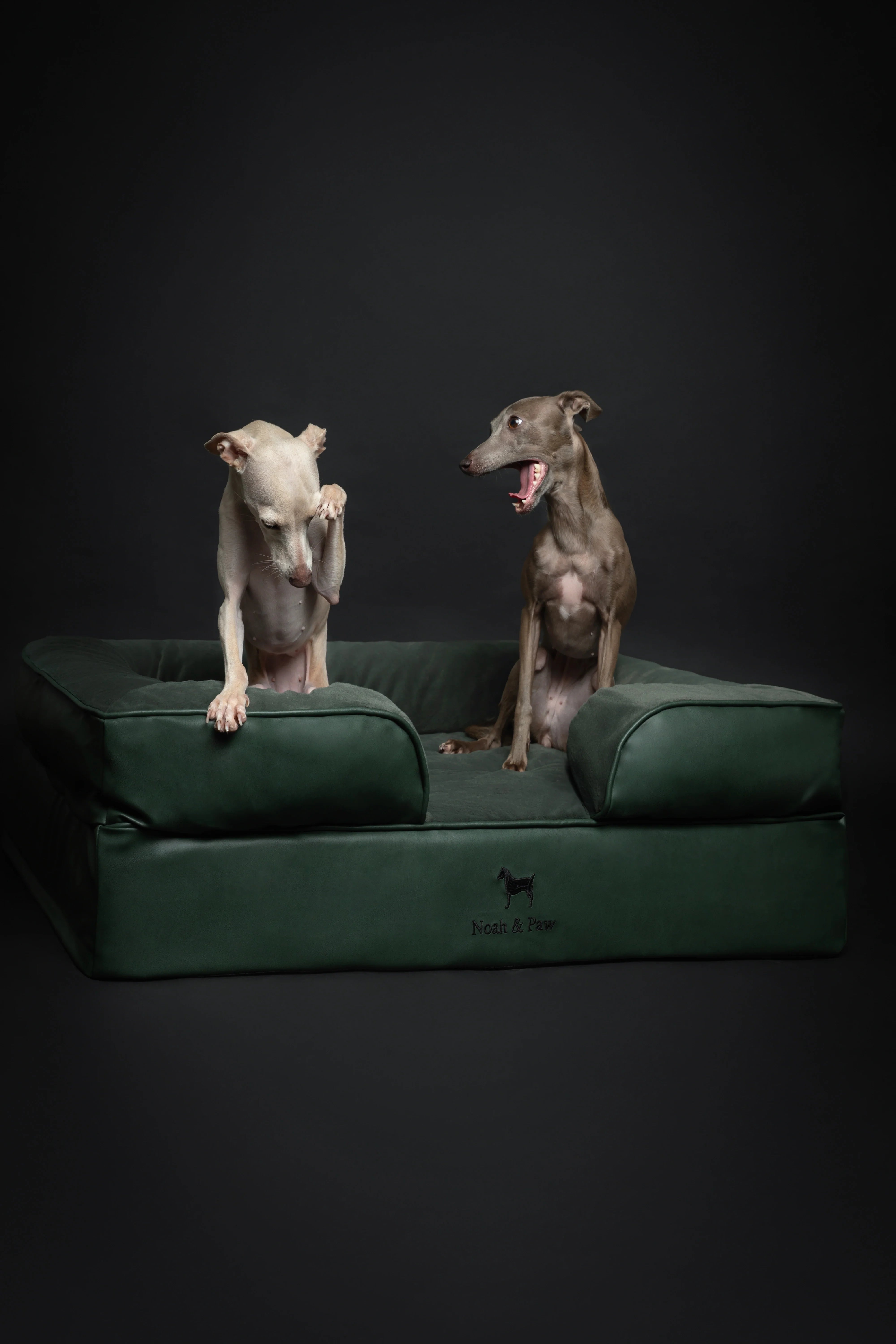 Faux Leather, Orthopedic Pet Bed, Eggshell Memory Foam, Infused with Cooling Gel, Sofa Style