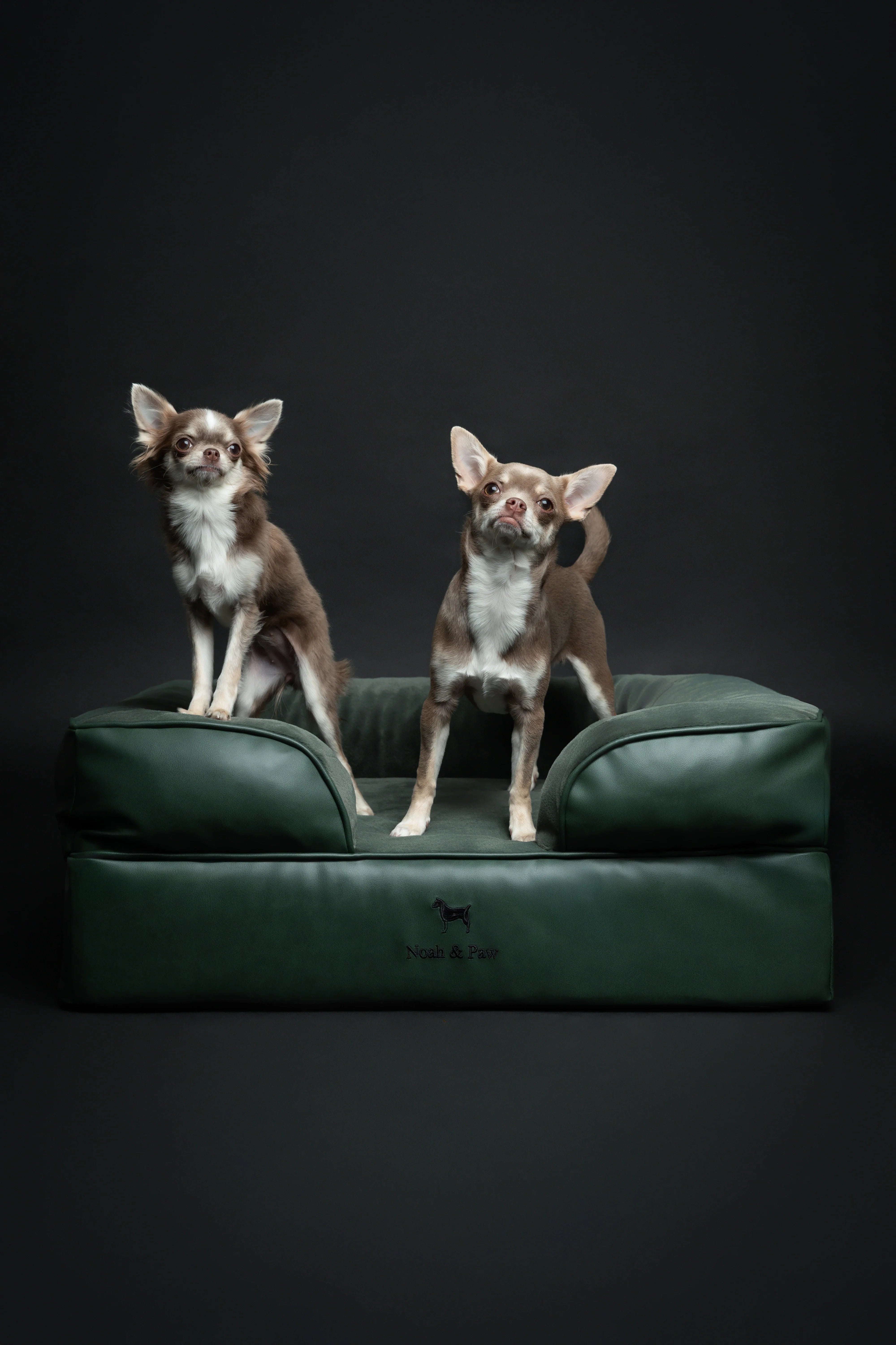 Faux Leather, Orthopedic Pet Bed, Eggshell Memory Foam, Infused with Cooling Gel, Sofa Style