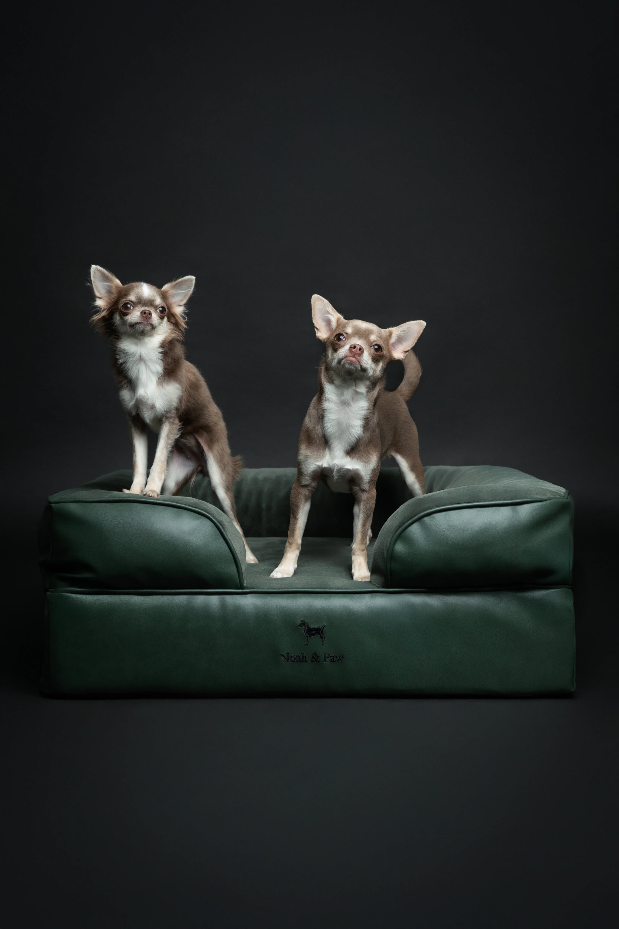 Faux Leather, Orthopedic Pet Bed, Eggshell Memory Foam, Infused with Cooling Gel, Sofa Style
