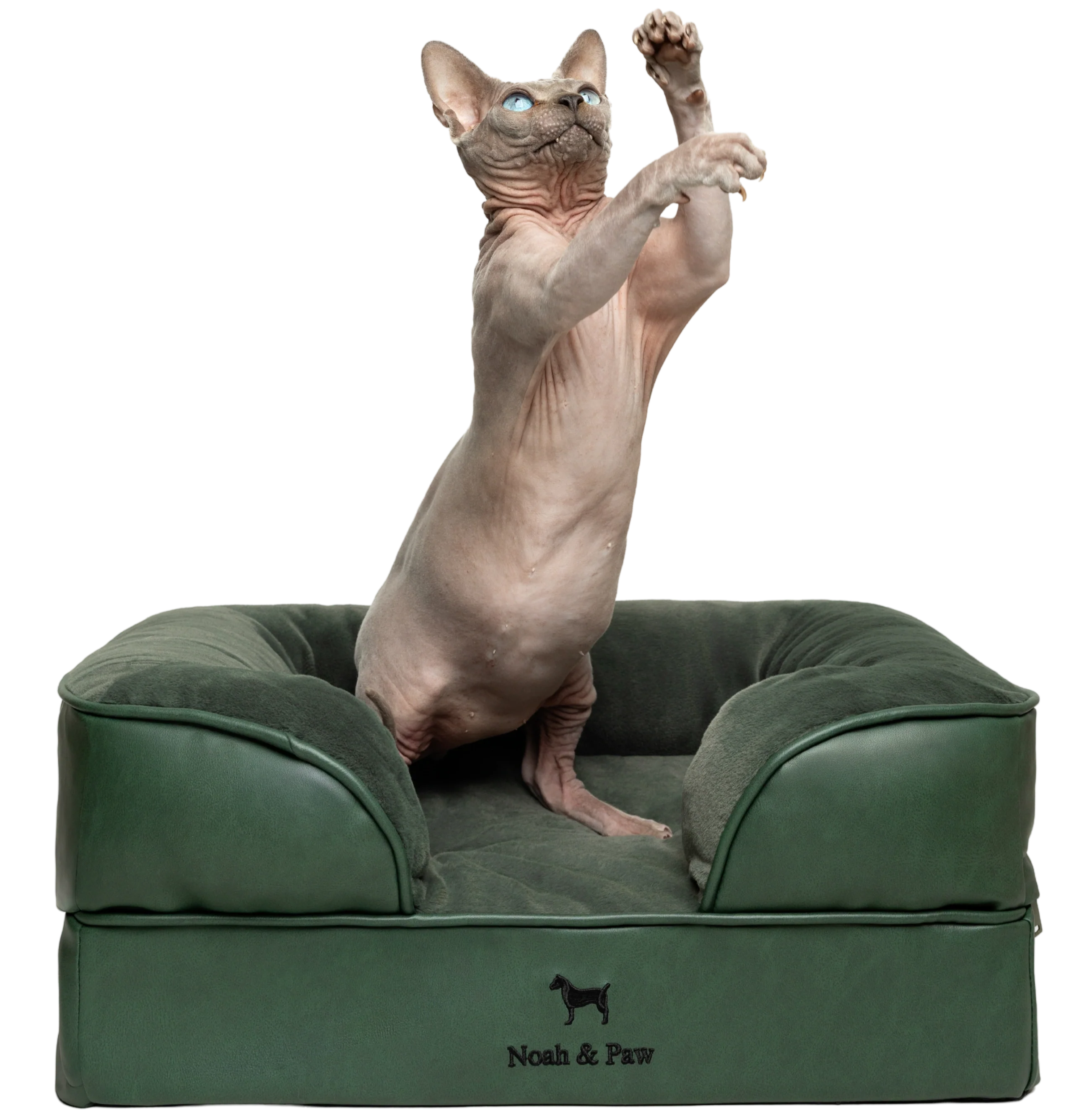 Orthopedic Faux Leather Pet Bed Sofa Style - Dark Green - S