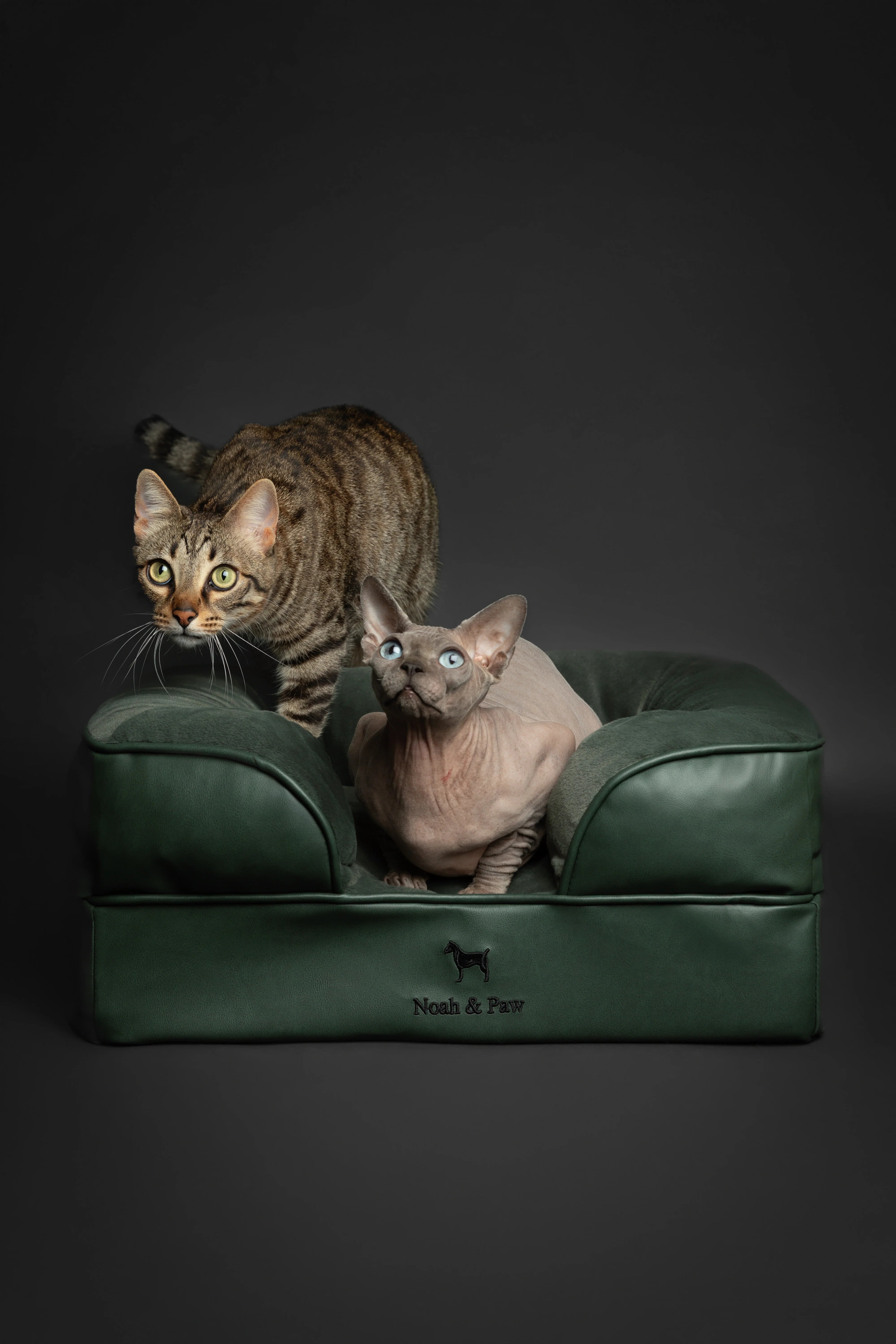 Faux Leather, Orthopedic Pet Bed, Eggshell Memory Foam, Infused with Cooling Gel, Sofa Style