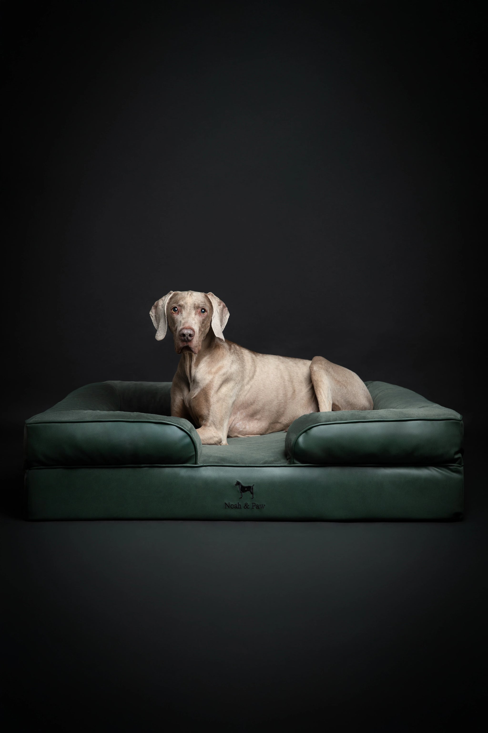 Faux Leather, Orthopedic Pet Bed, Eggshell Memory Foam, Infused with Cooling Gel, Sofa Style