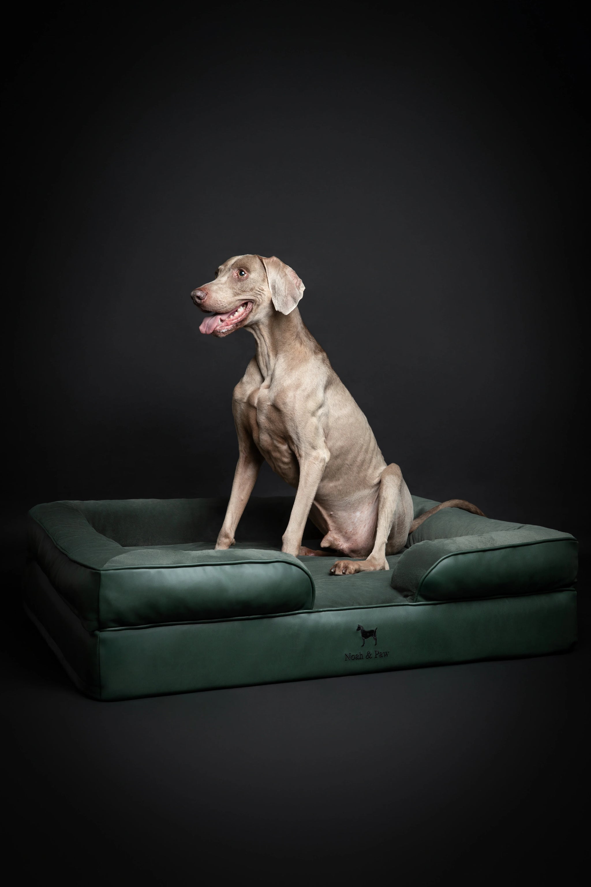 Faux Leather, Orthopedic Pet Bed, Eggshell Memory Foam, Infused with Cooling Gel, Sofa Style