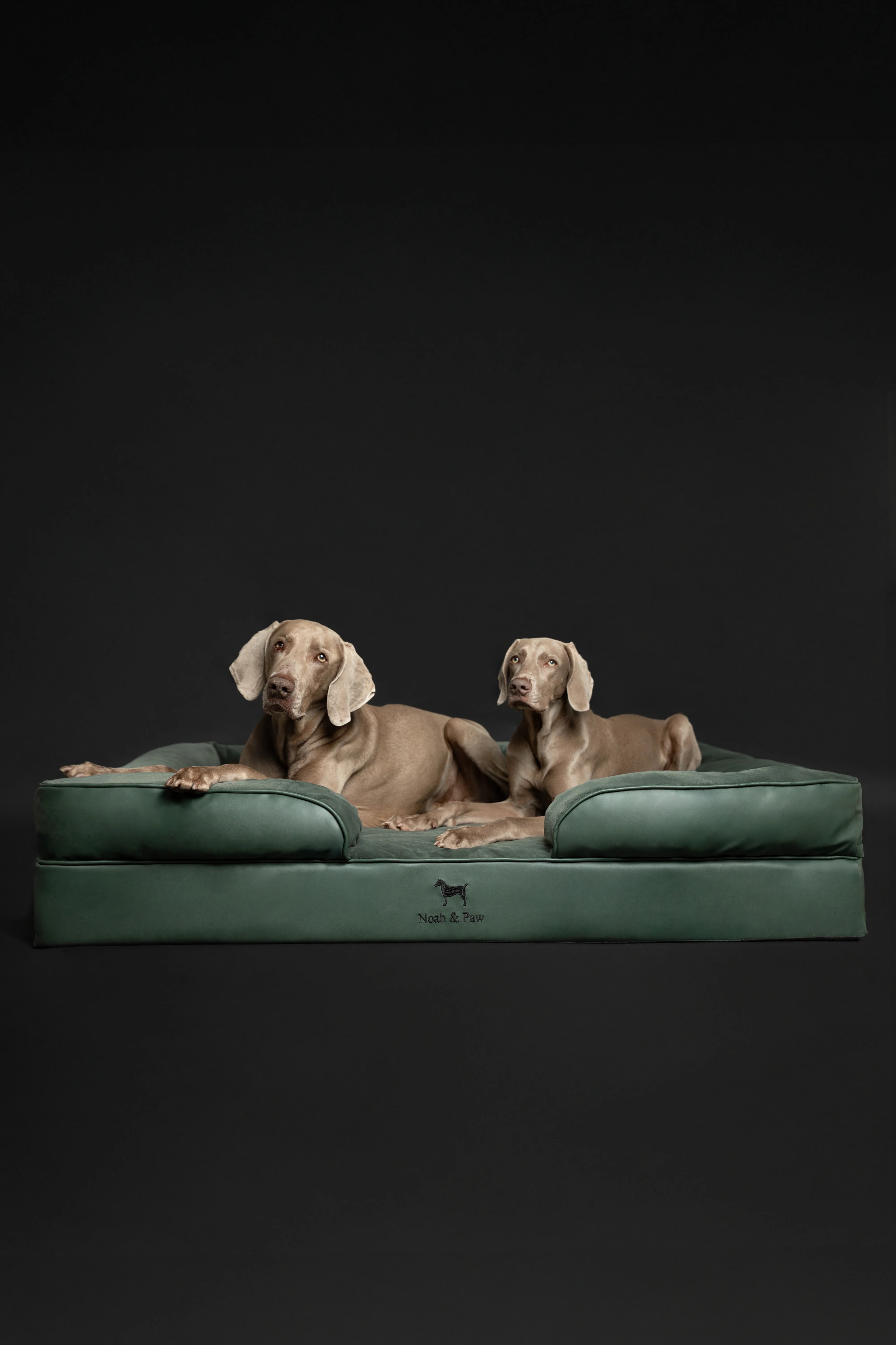 Faux Leather, Orthopedic Pet Bed, Eggshell Memory Foam, Infused with Cooling Gel, Sofa Style