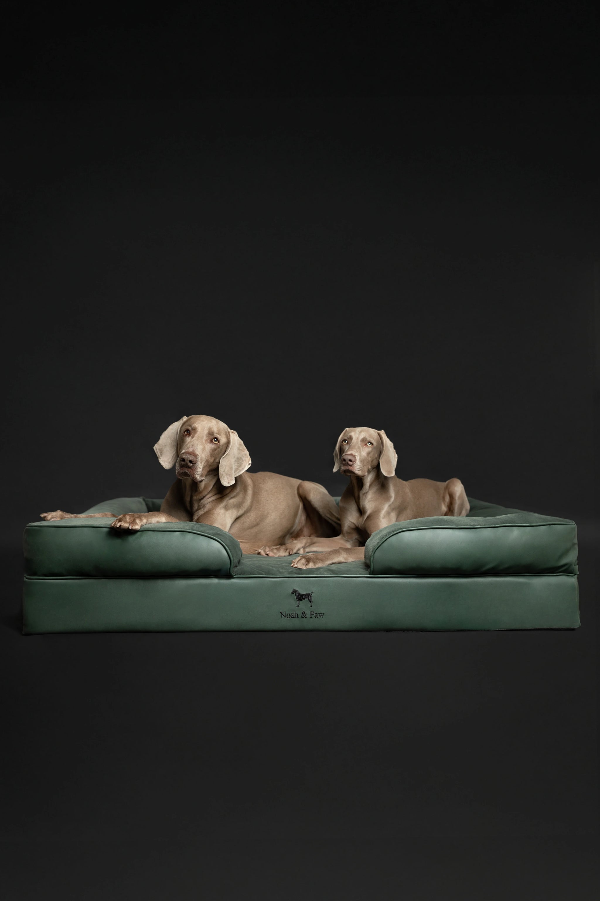 Faux Leather, Orthopedic Pet Bed, Eggshell Memory Foam, Infused with Cooling Gel, Sofa Style